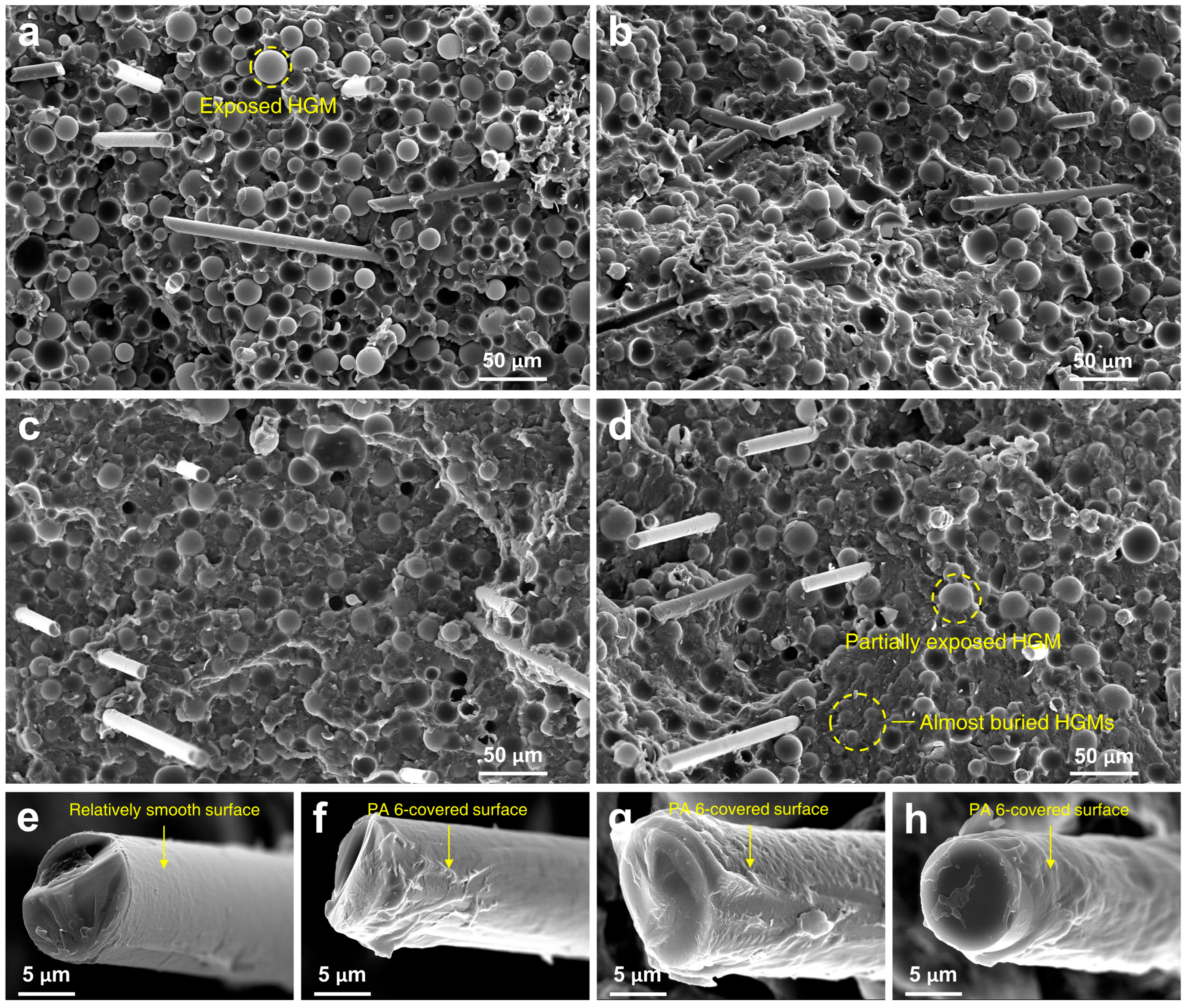 Polymers 14 01915 g003