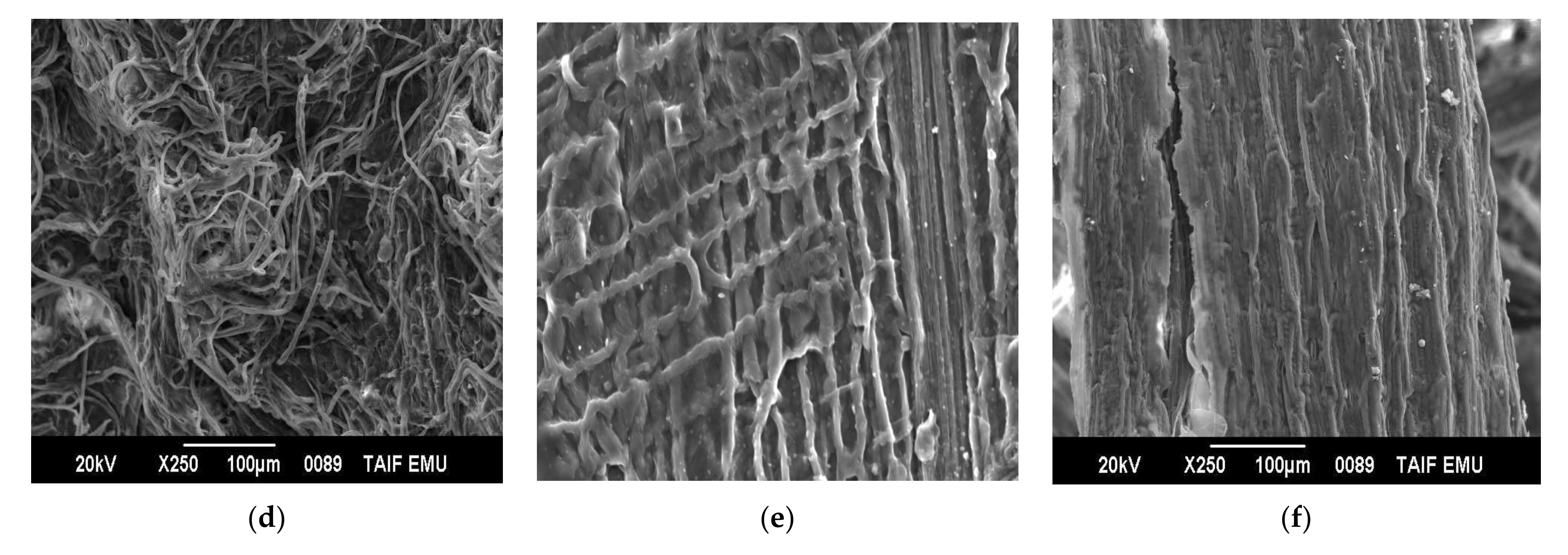 Polymers 14 01930 g008b Polymers 14 01930 g008b