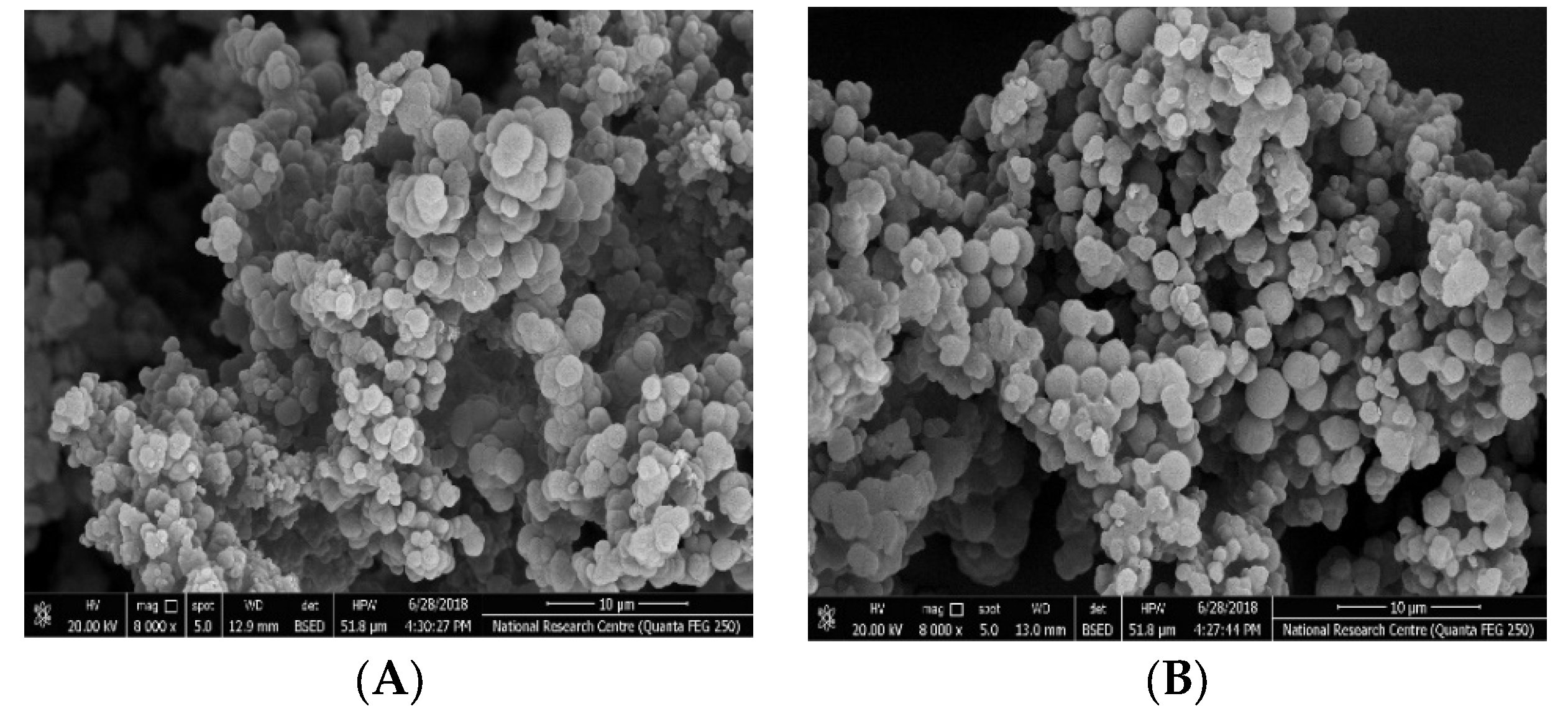 Polymers 14 01942 g003 Polymers 14 01942 g003