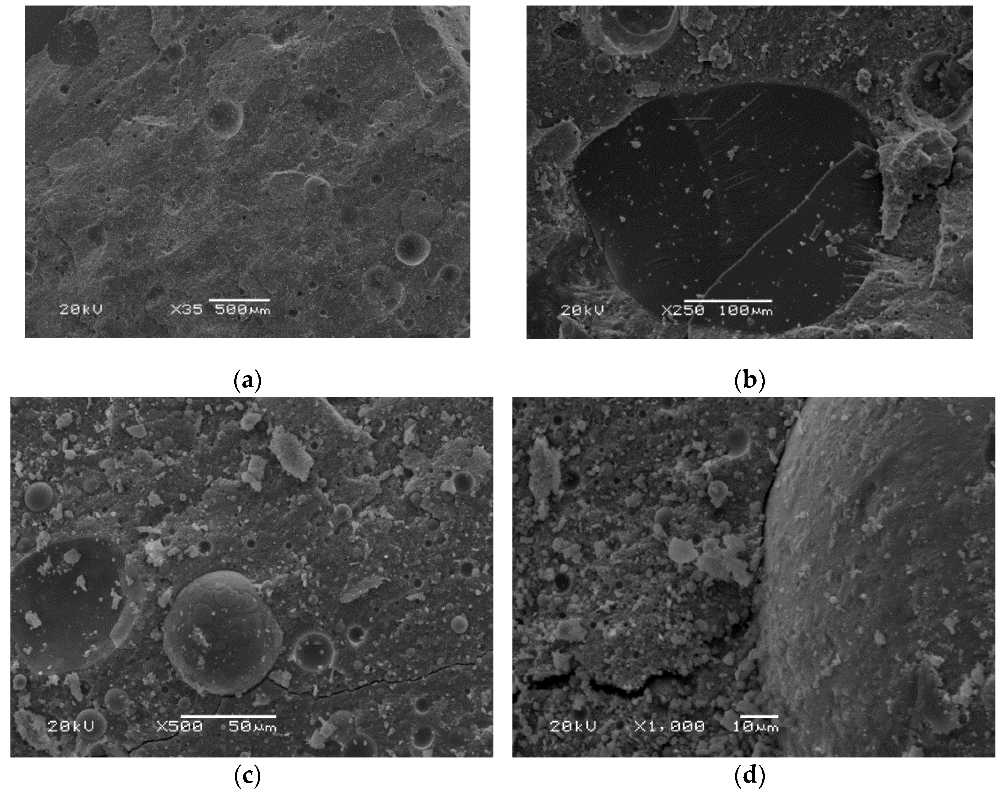 Polymers 14 01954 g008