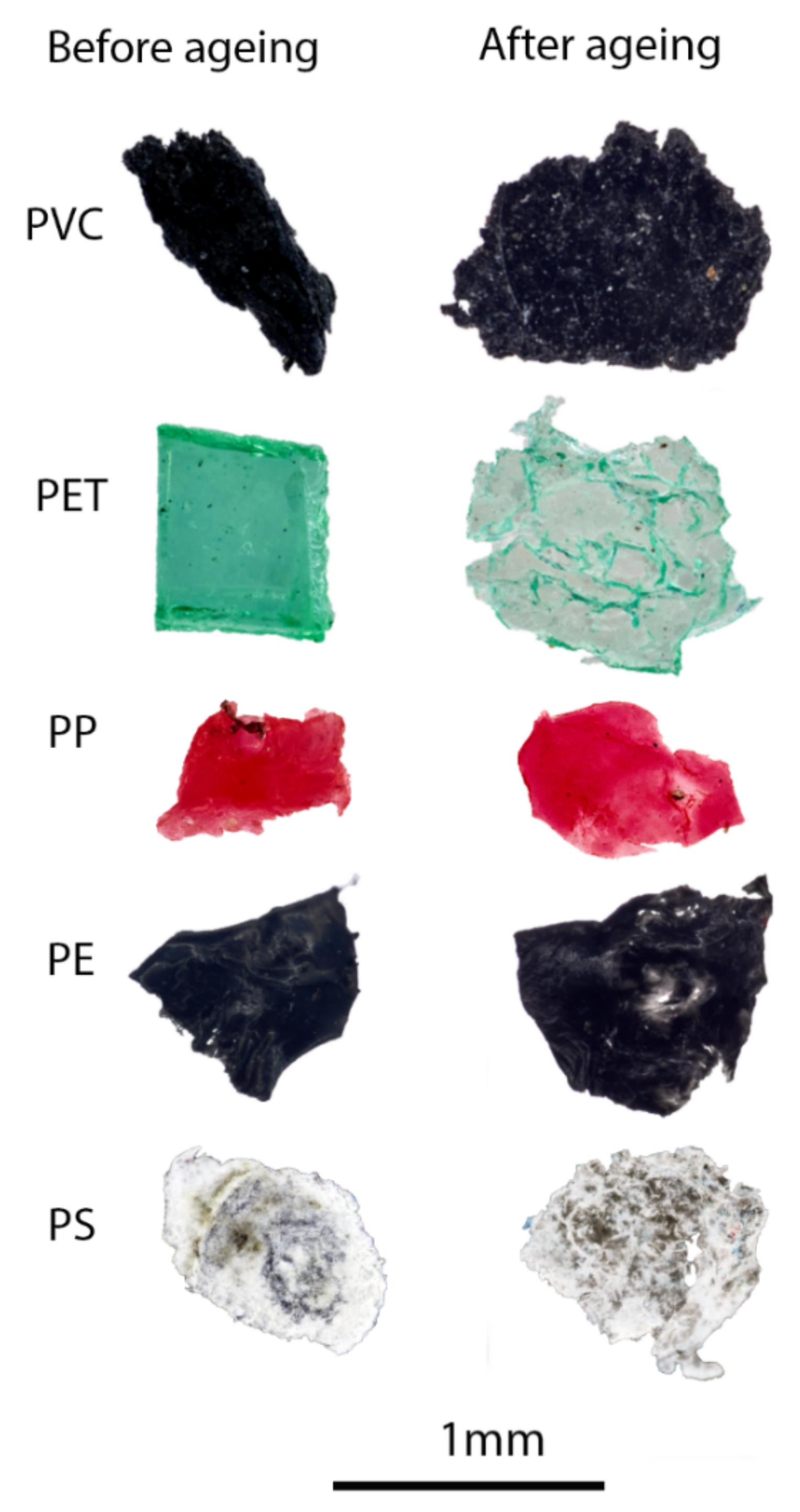 Polymers 14 01958 g002