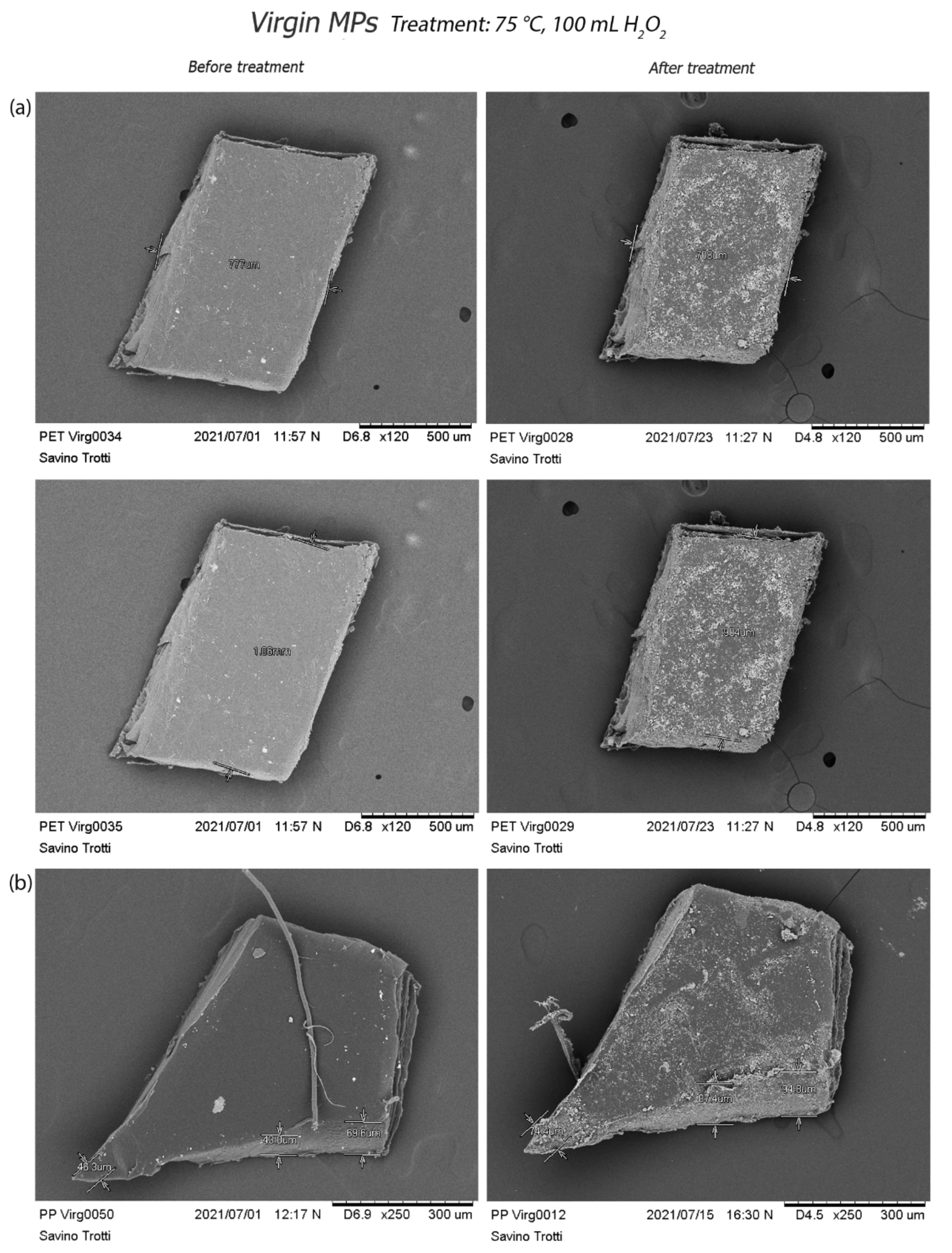 Polymers 14 01958 g009