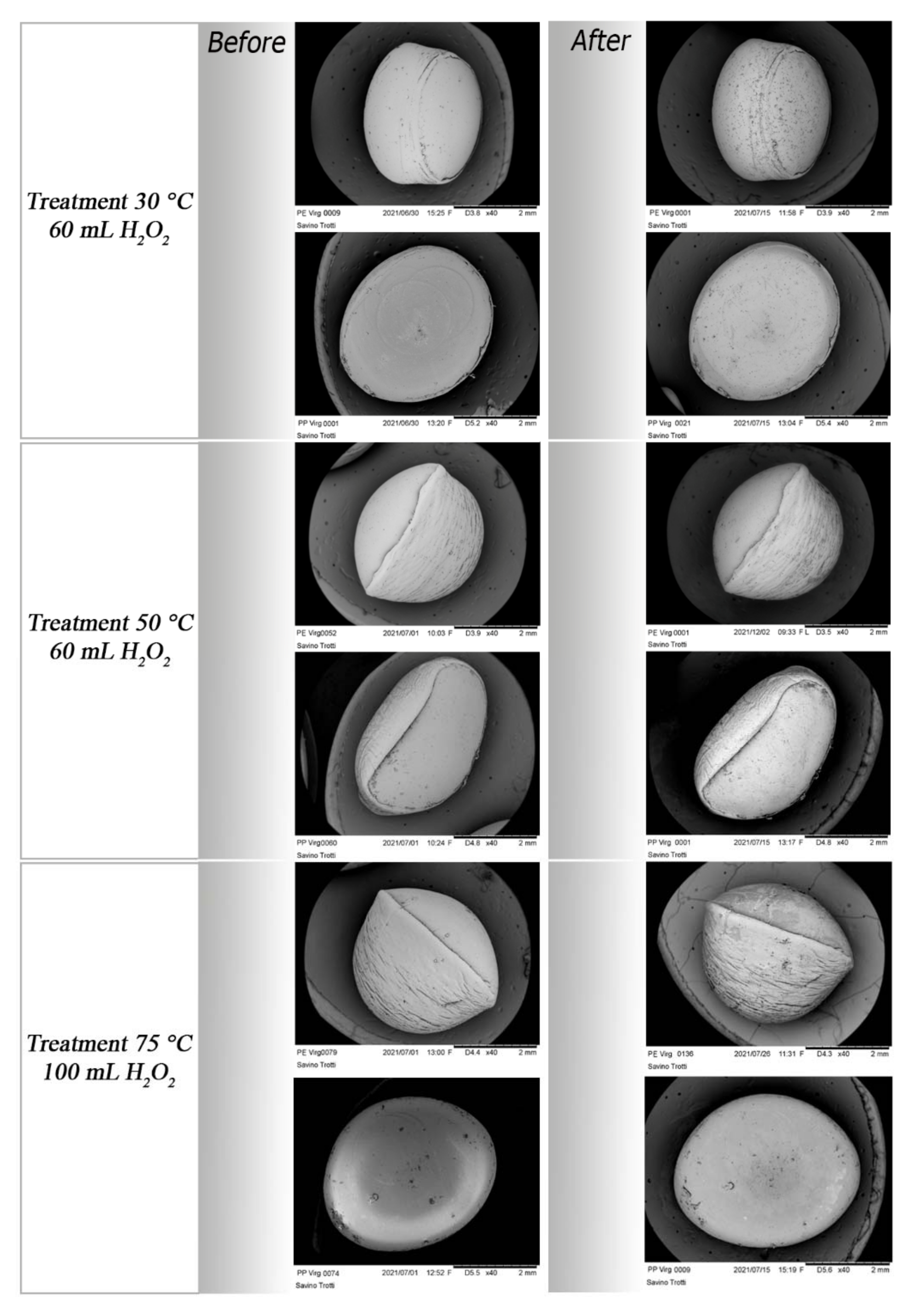 Polymers 14 01958 g010