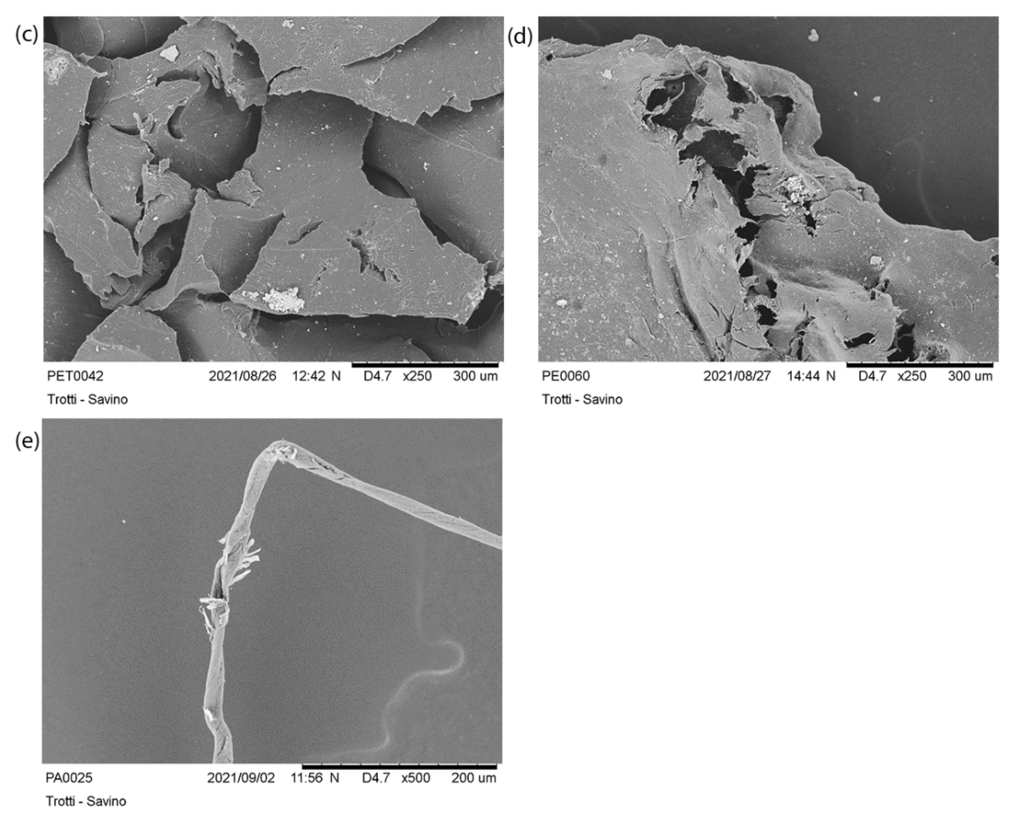 Polymers 14 01958 g012b