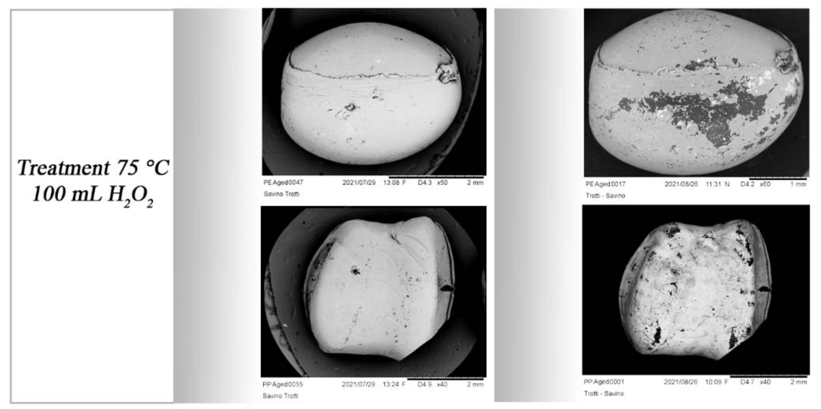 Polymers 14 01958 g013b