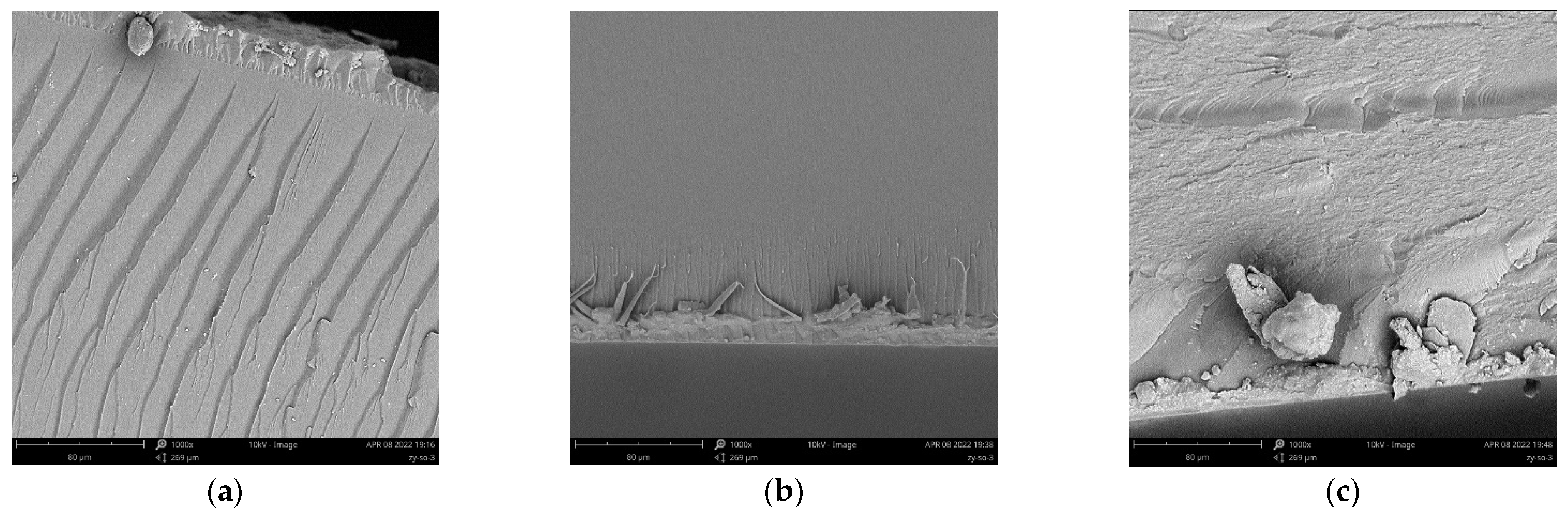 Polymers 14 01959 g003