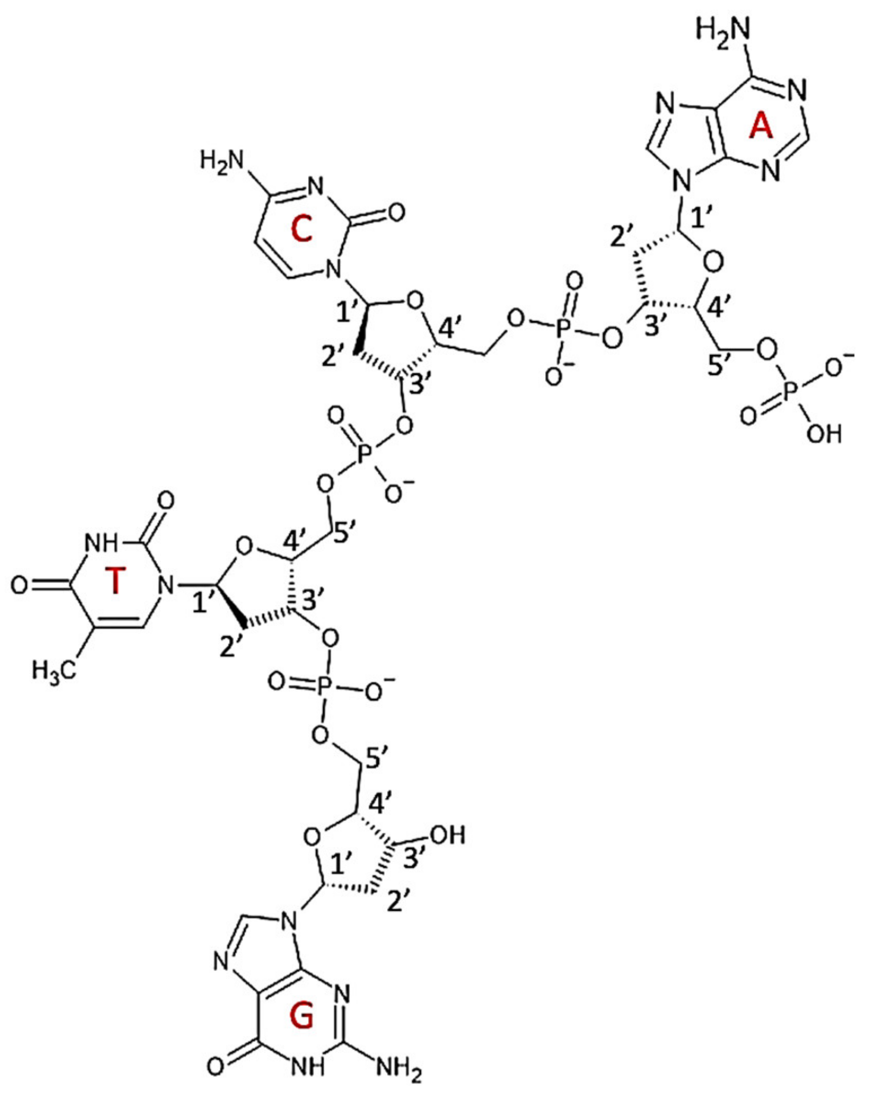 Polymers 14 01962 g008