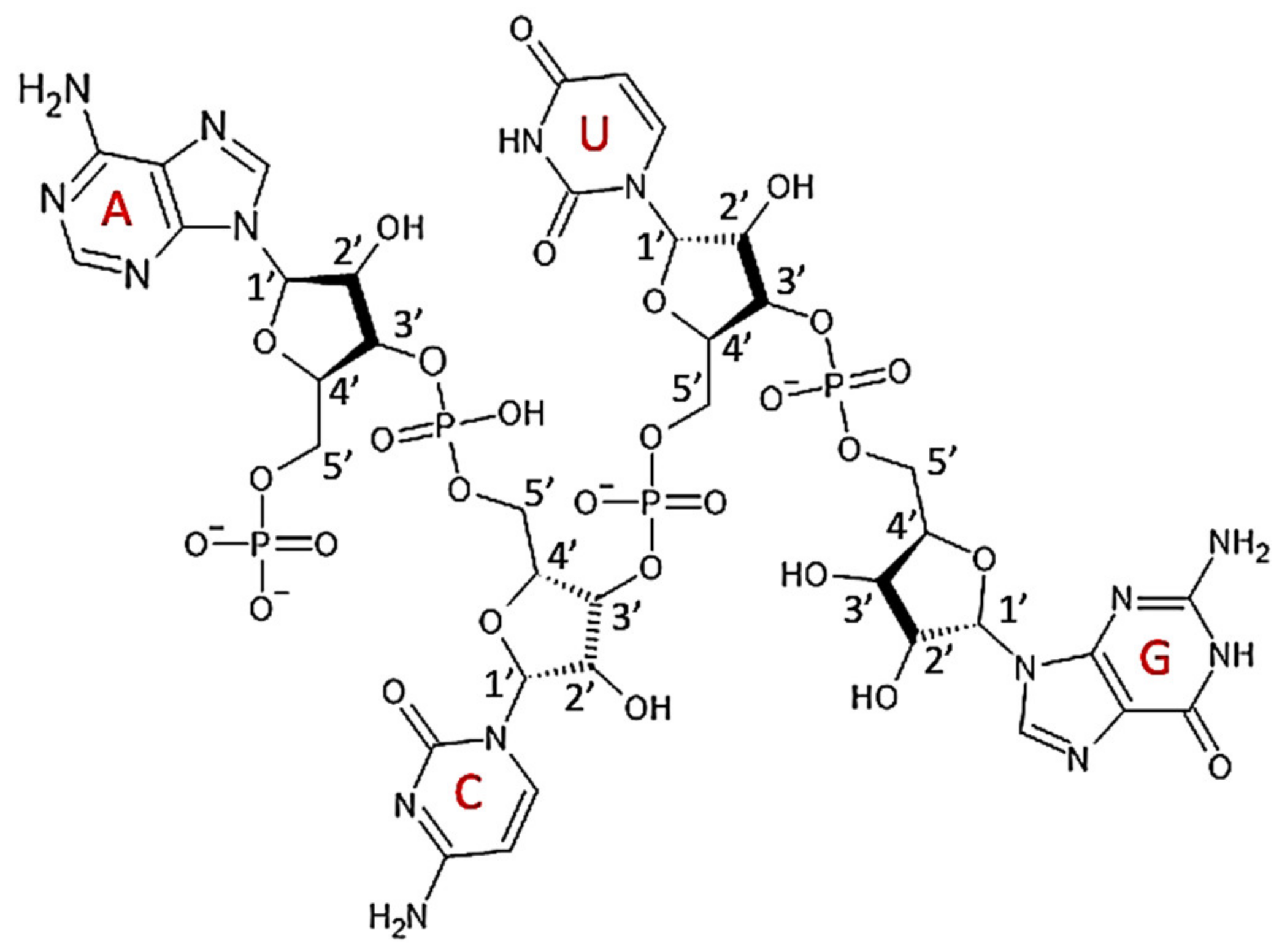 Polymers 14 01962 g009