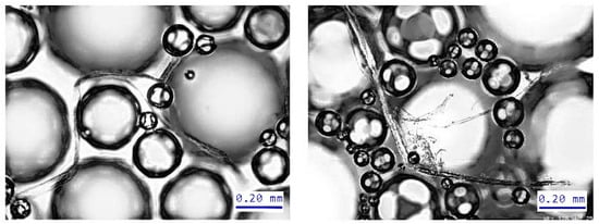 https://www.mdpi.com/polymers/polymers-14-01963/article_deploy/html/images/polymers-14-01963-g008-550.jpg