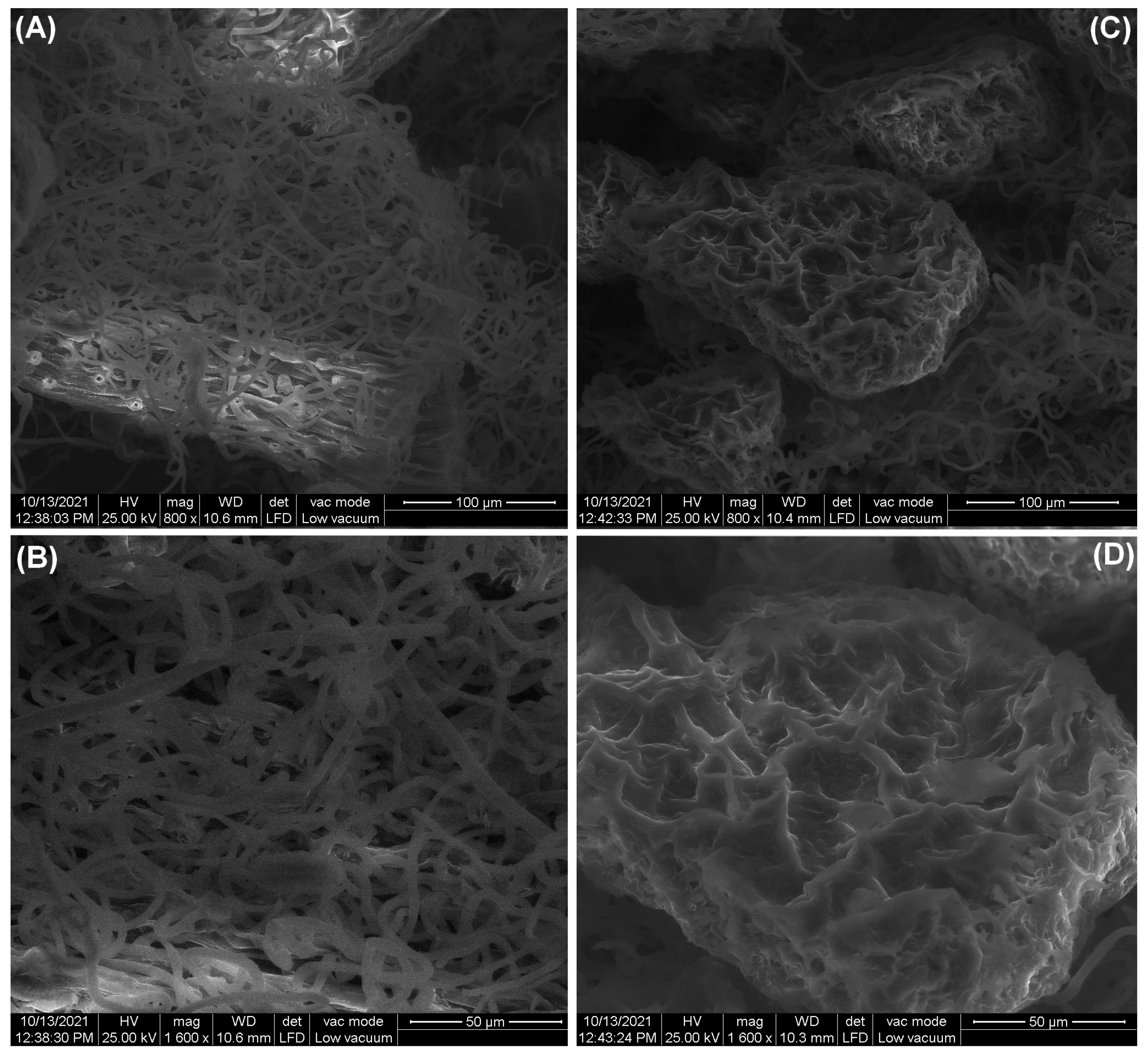 Polymers 14 01966 g003