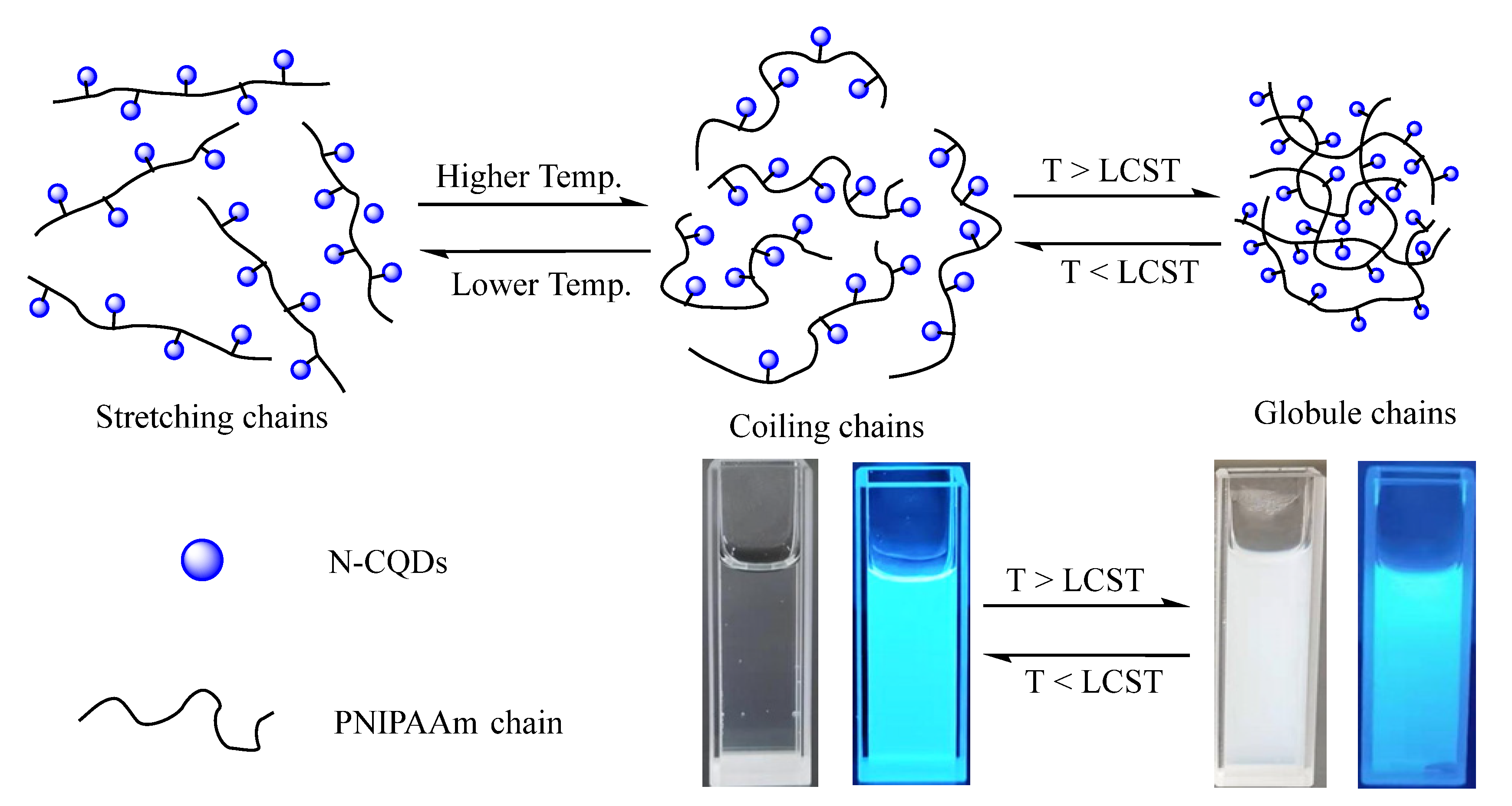 Polymers 14 01970 sch002