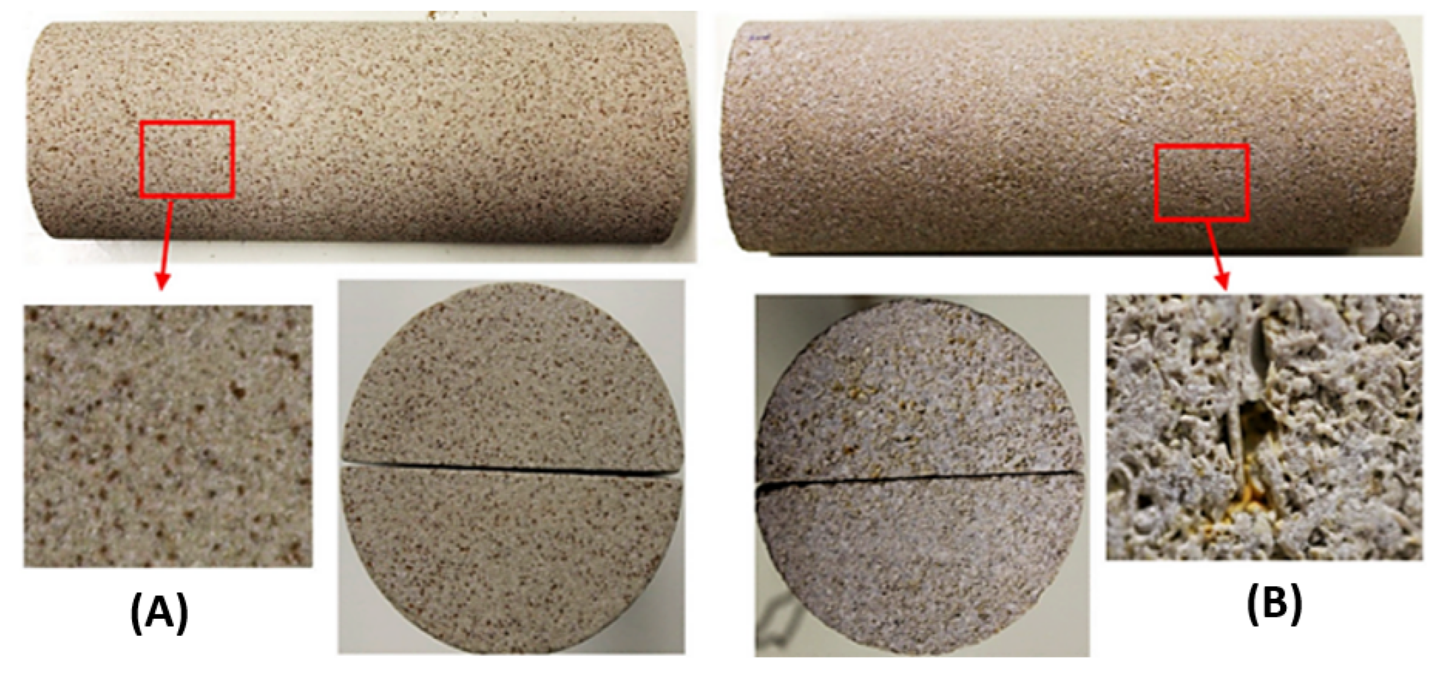 Polymers 14 02001 g005