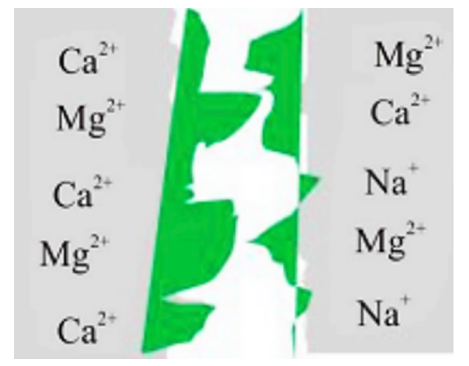 Polymers 14 02001 g006