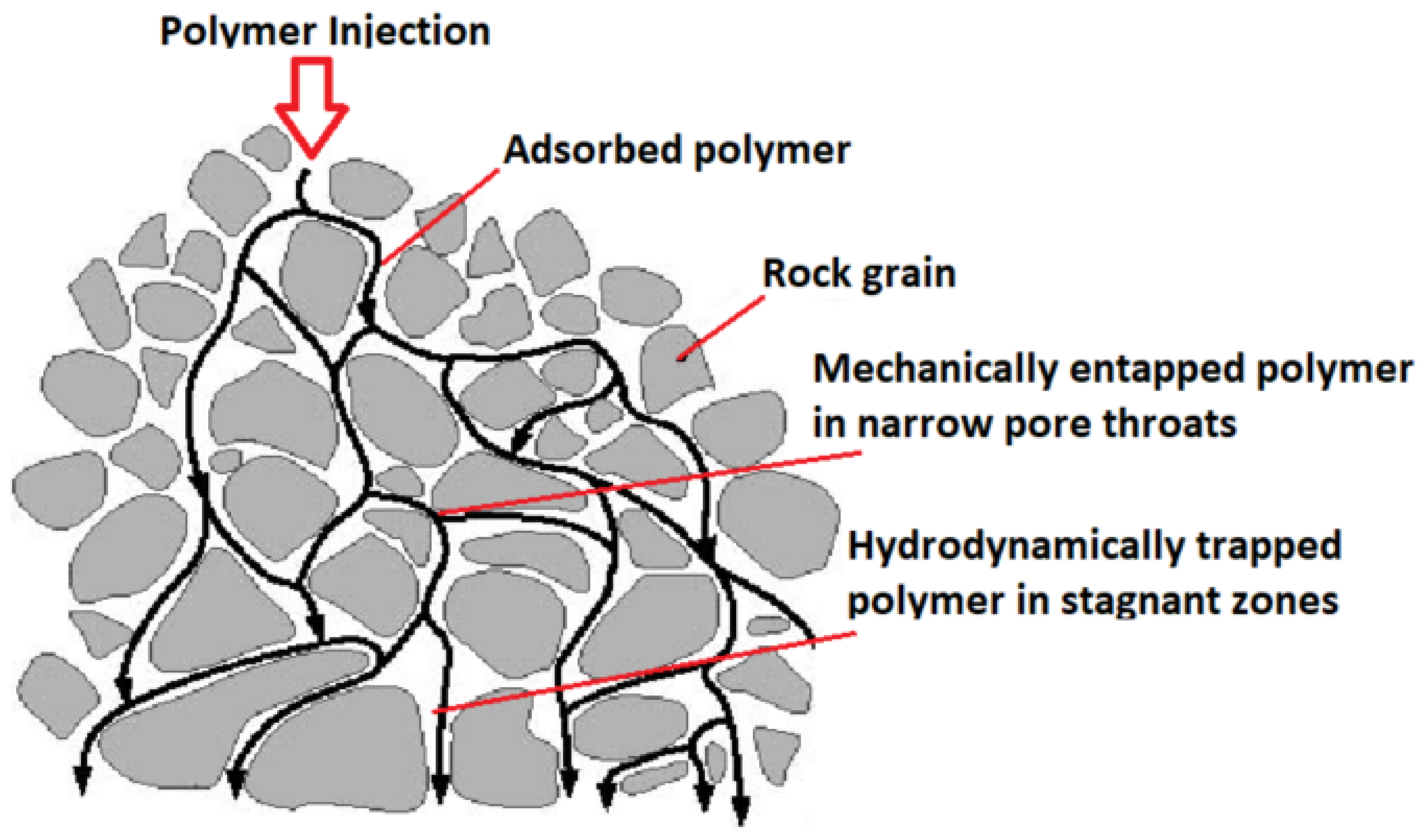 Polymers 14 02001 g007