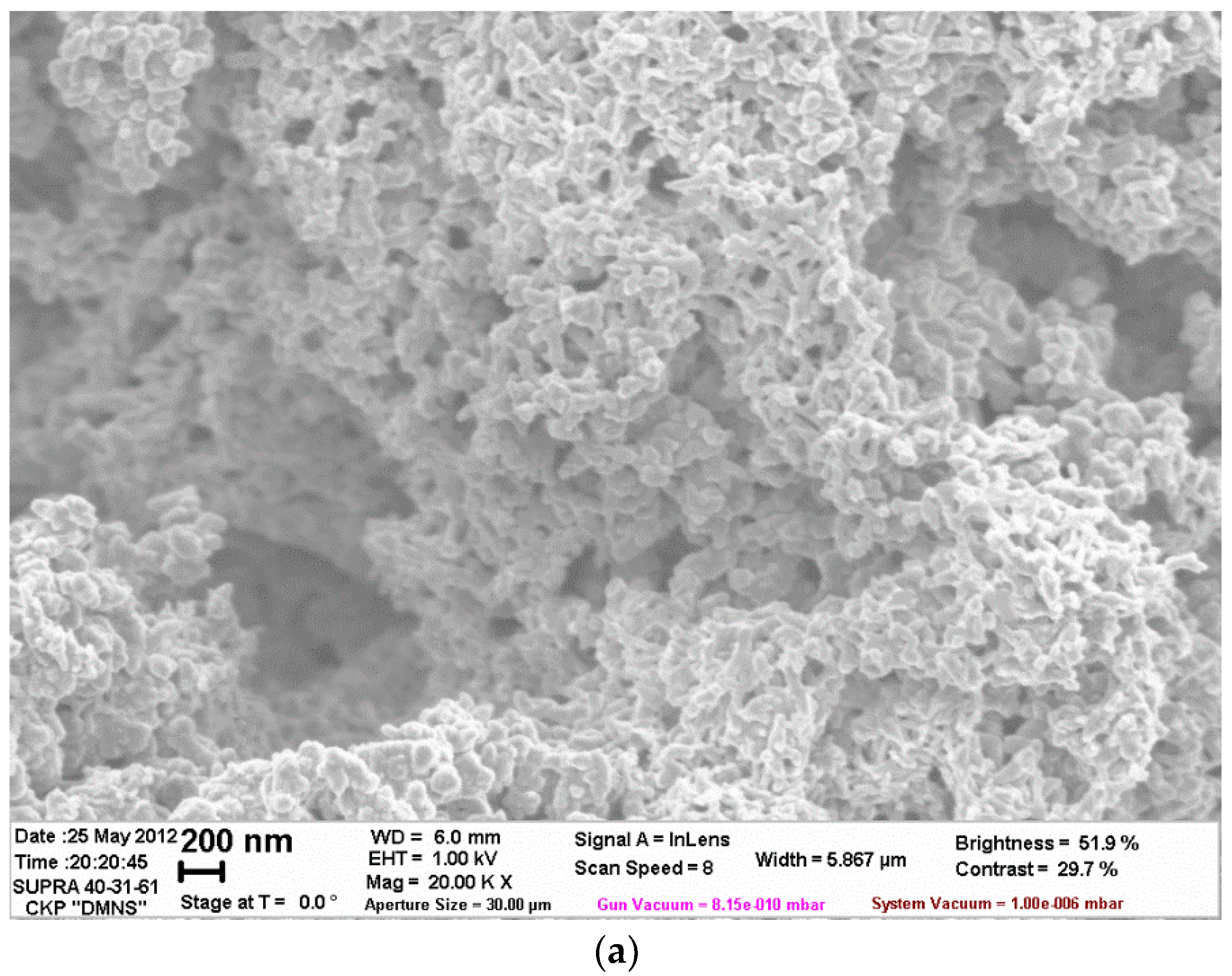 Polymers 14 02005 g005a