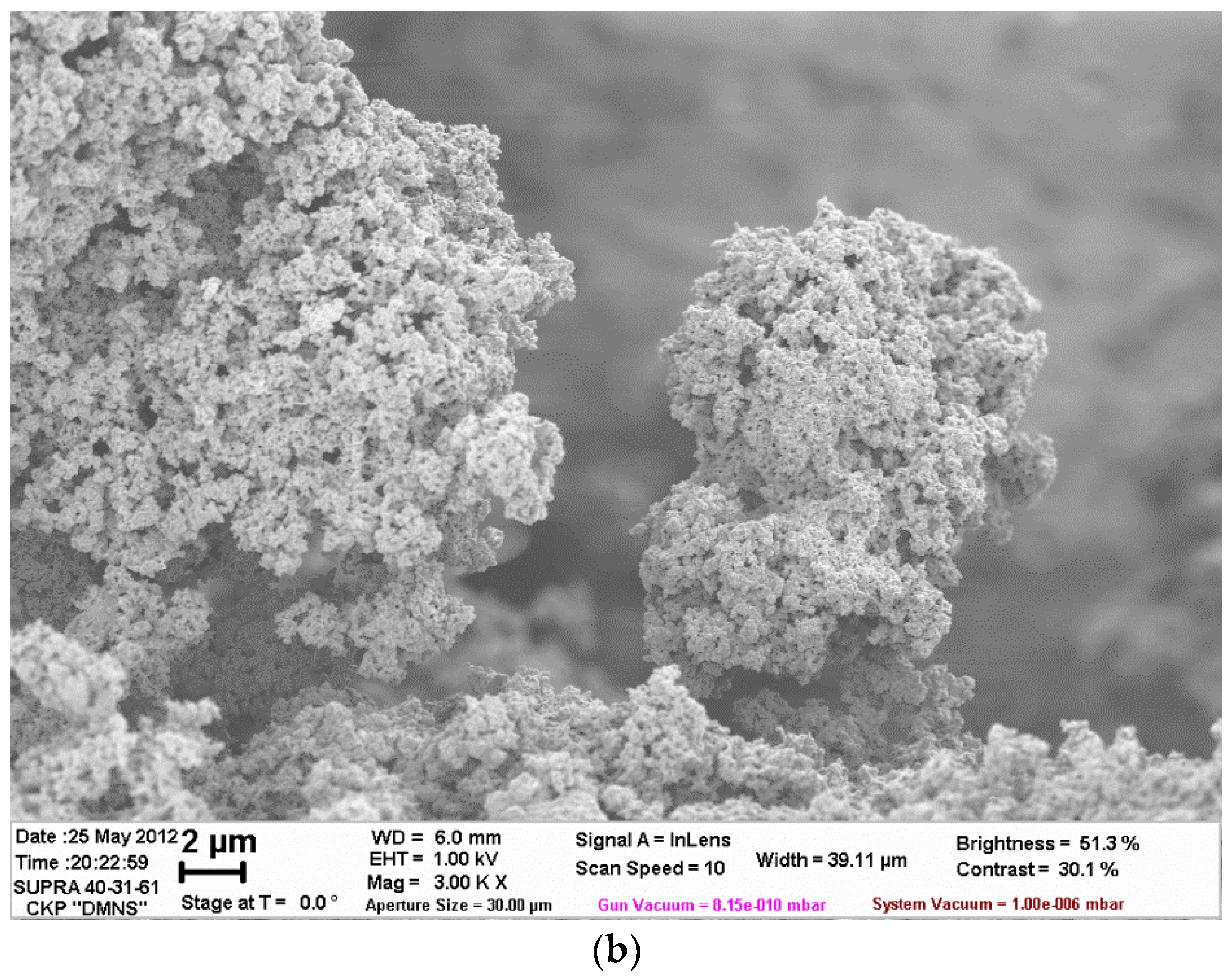 Polymers 14 02005 g005b