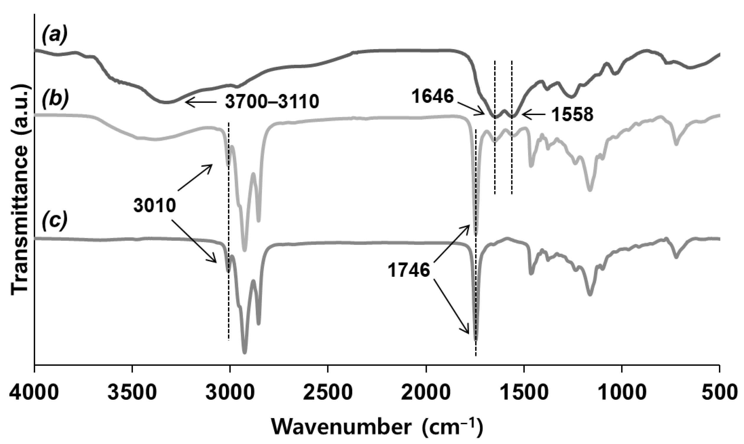 Polymers 14 02013 g006