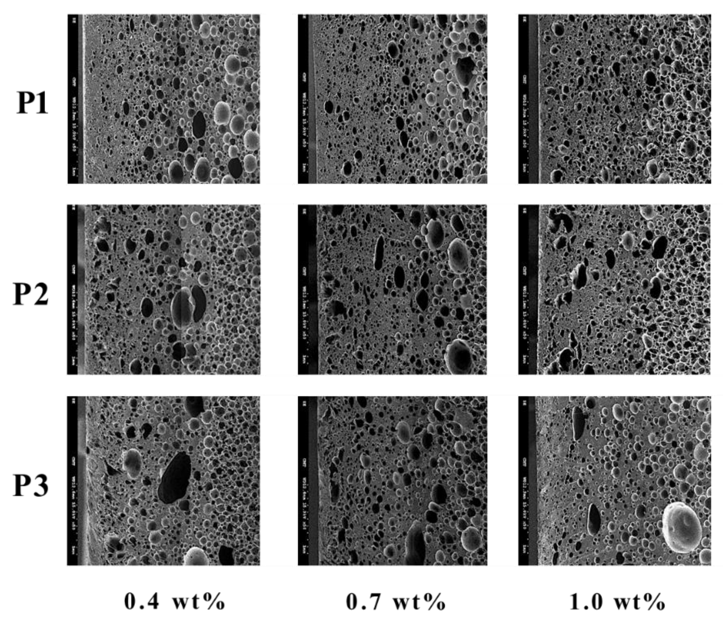 Polymers 14 02017 g006