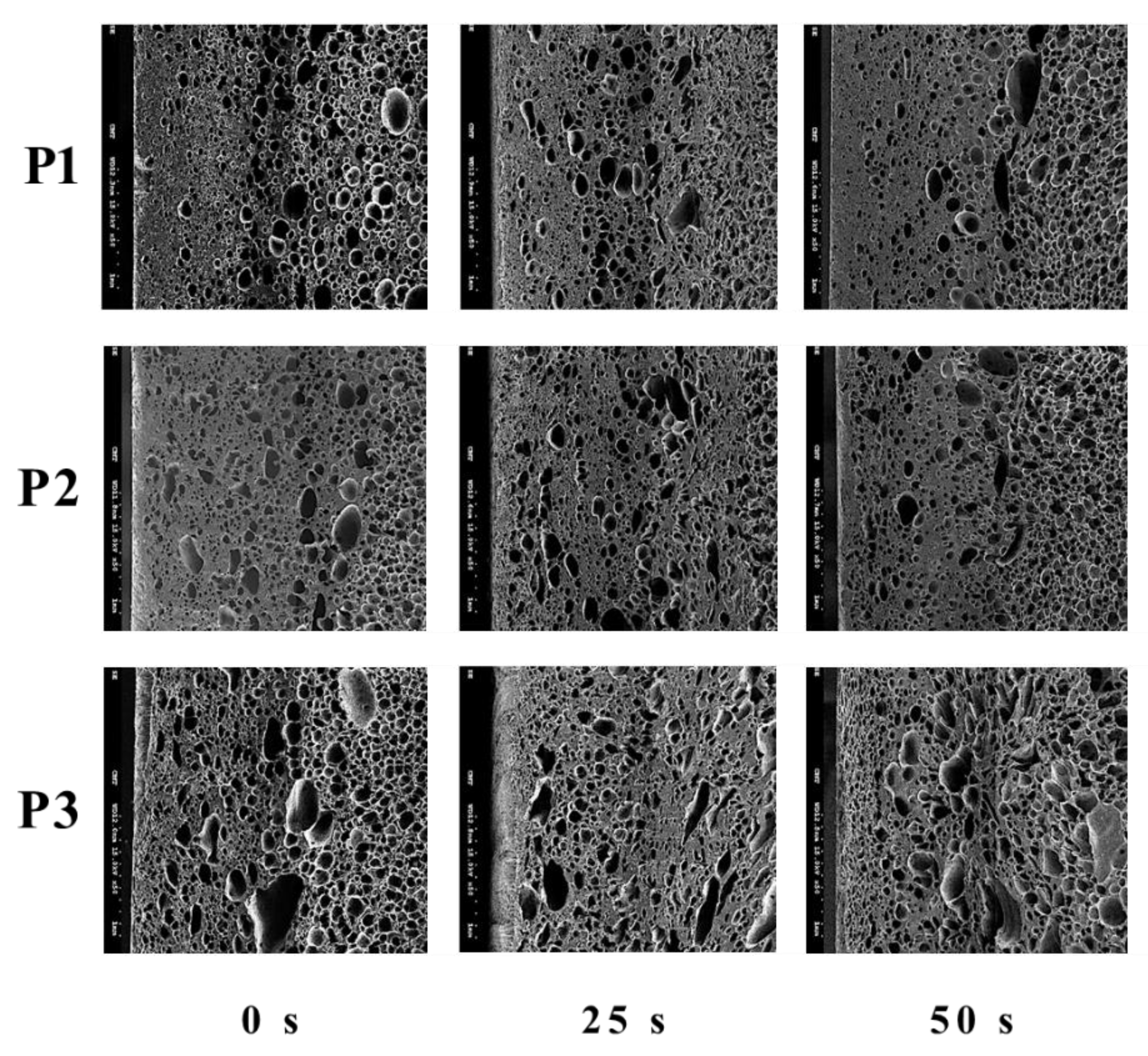 Polymers 14 02017 g008