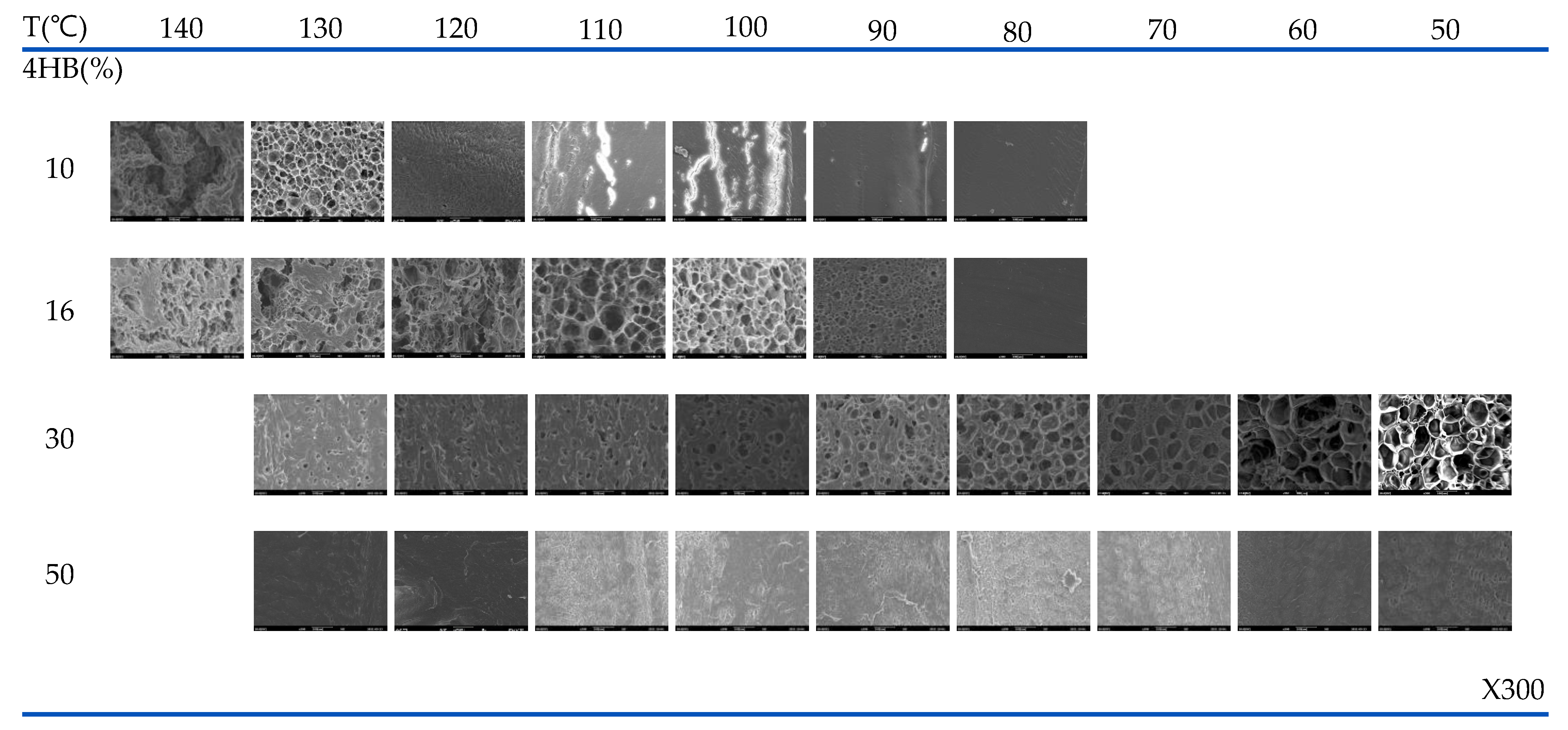 Polymers 14 02018 g003a