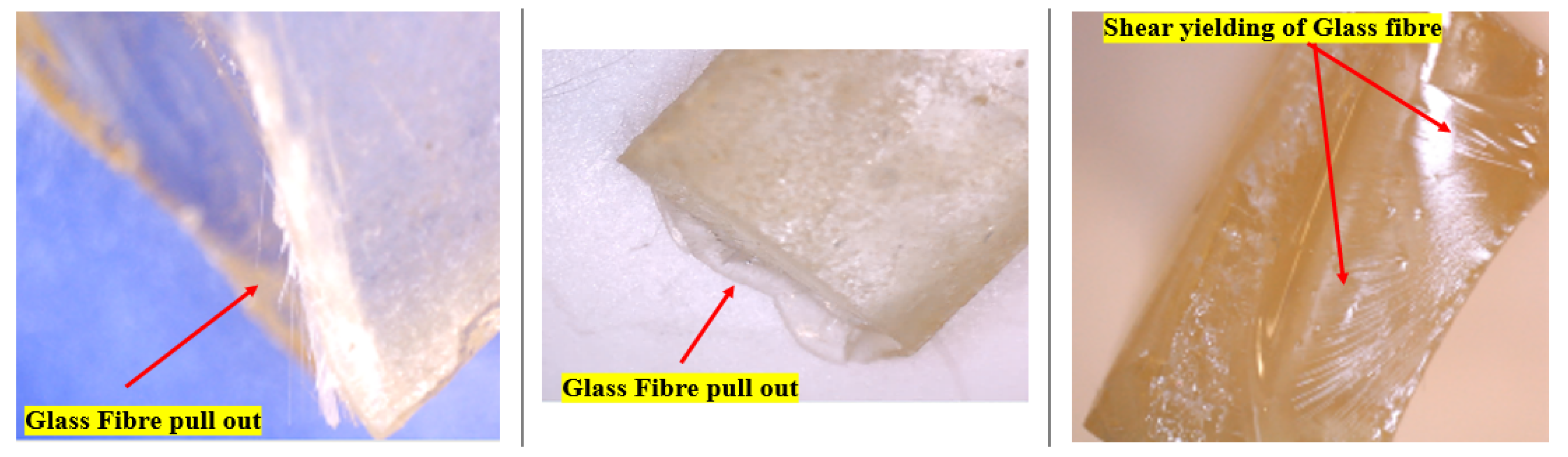 Polymers 14 02024 g020