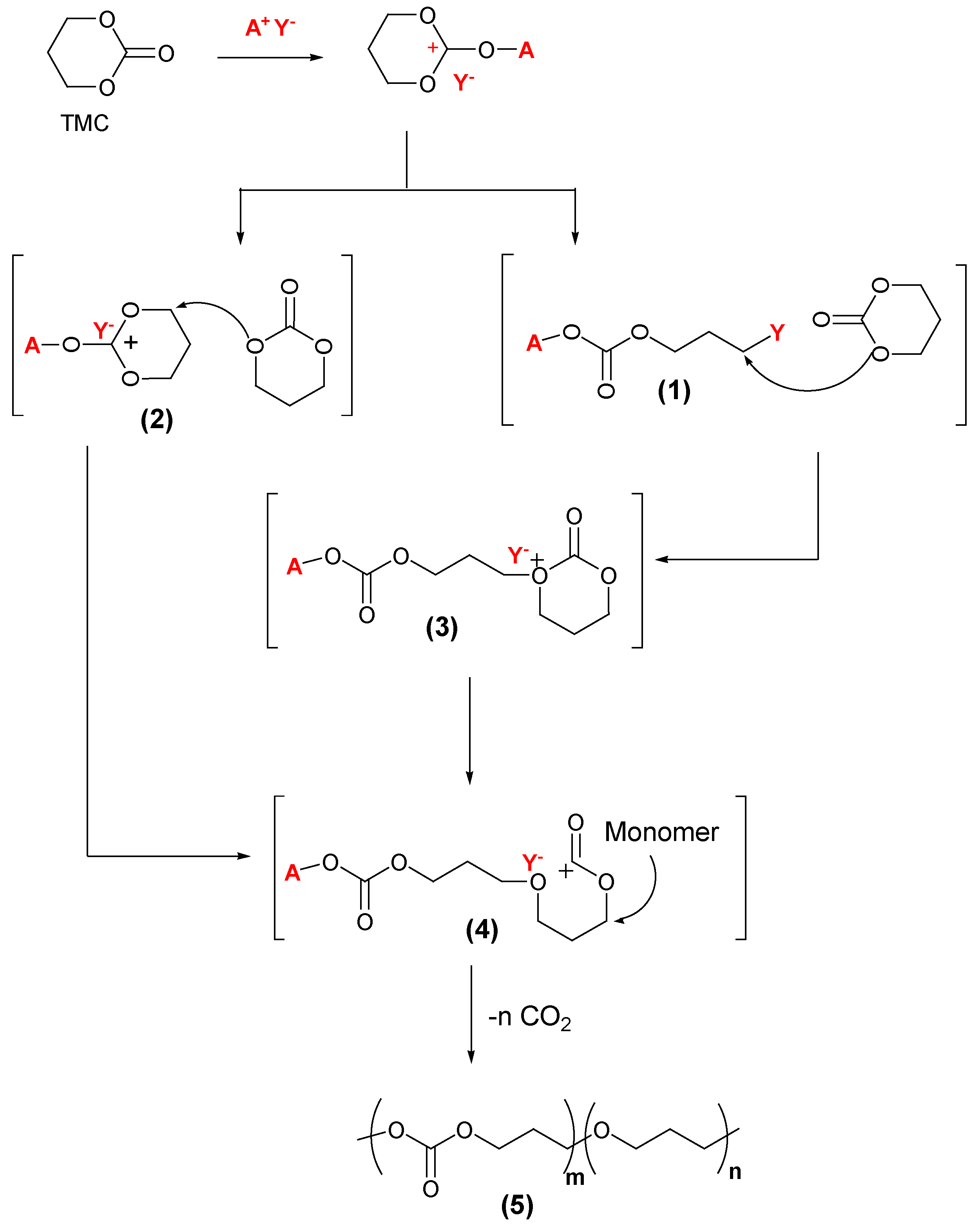 Polymers 14 02031 sch001