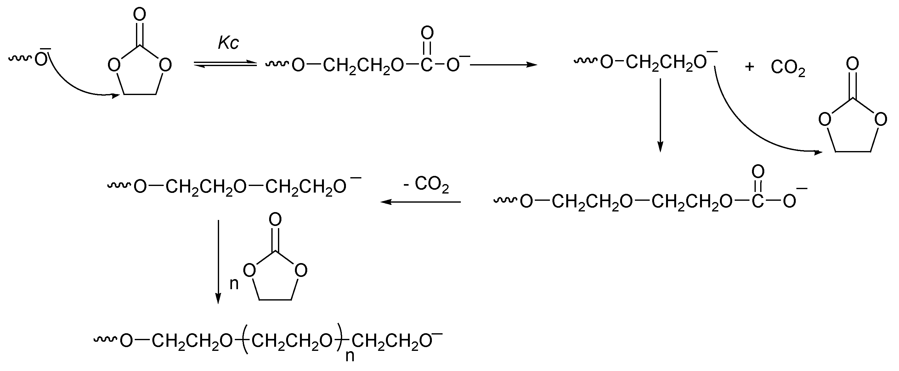 Polymers 14 02031 sch006