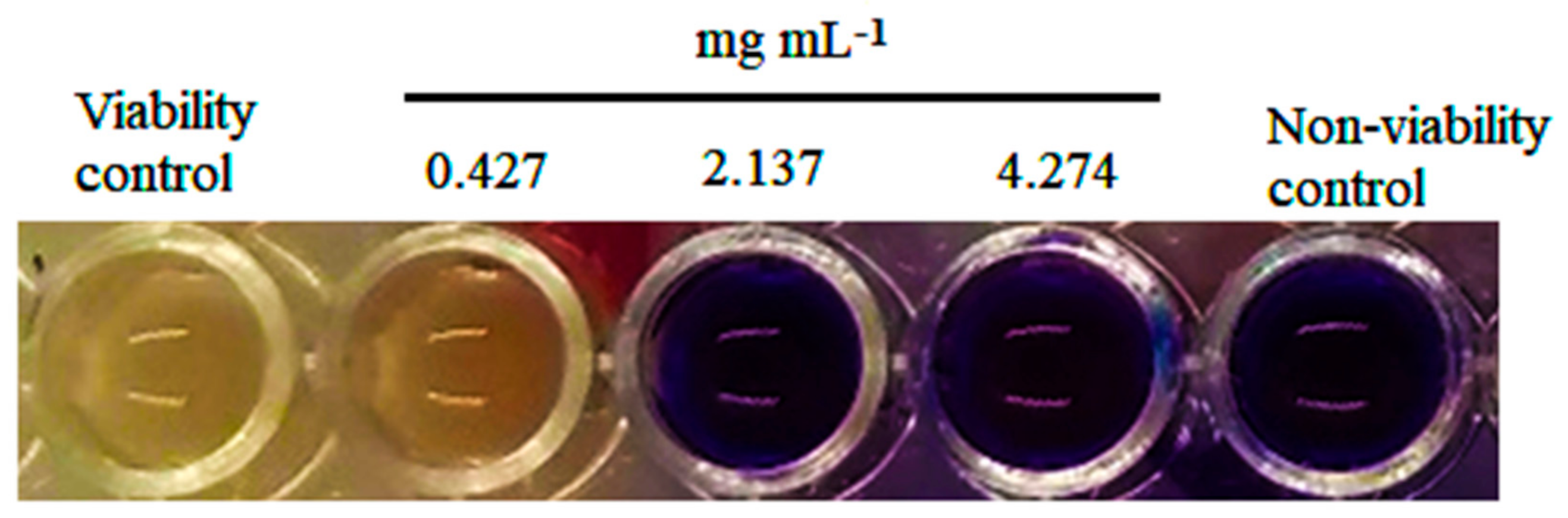 Polymers 14 02050 g001