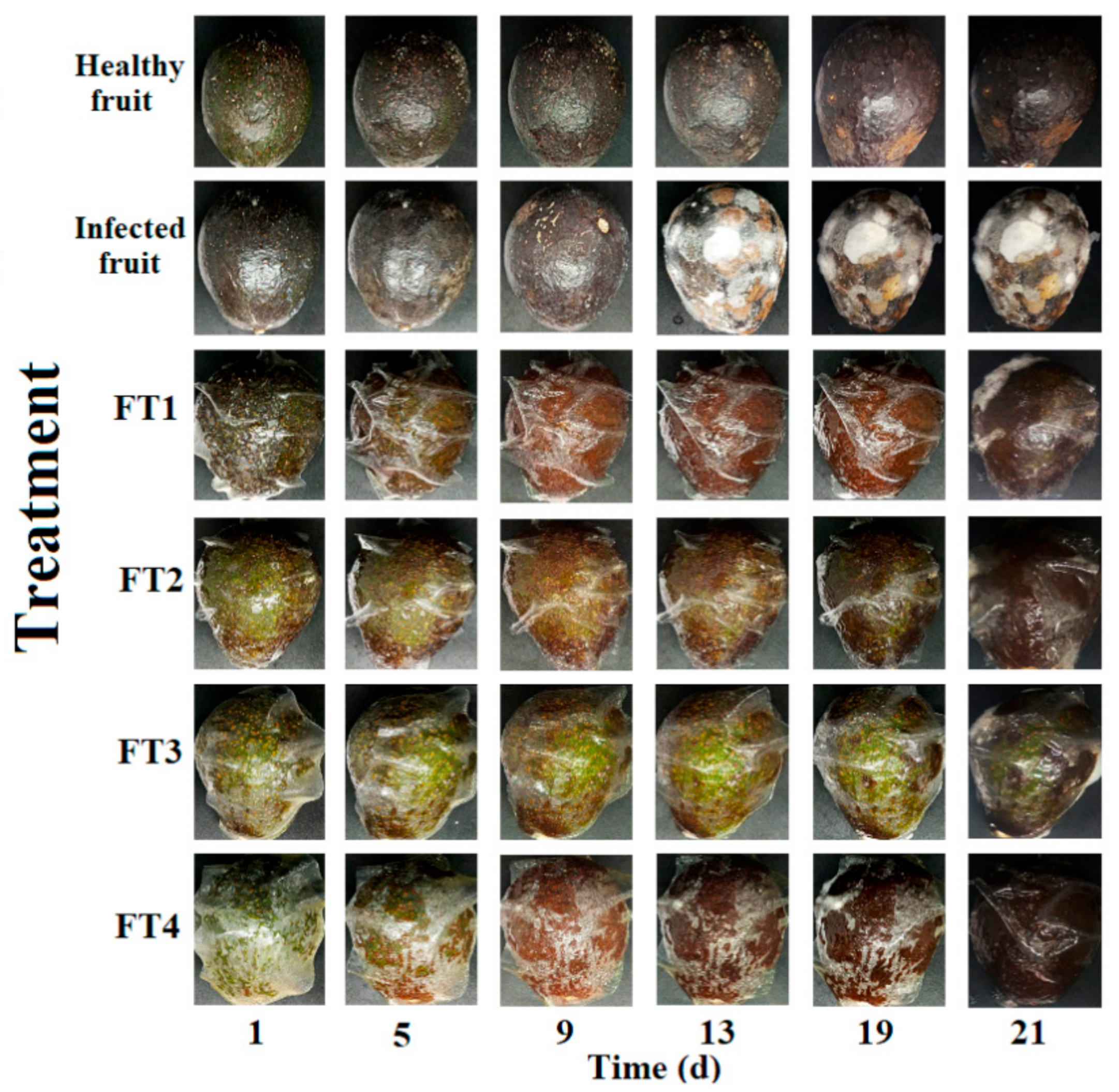 Polymers 14 02050 g002