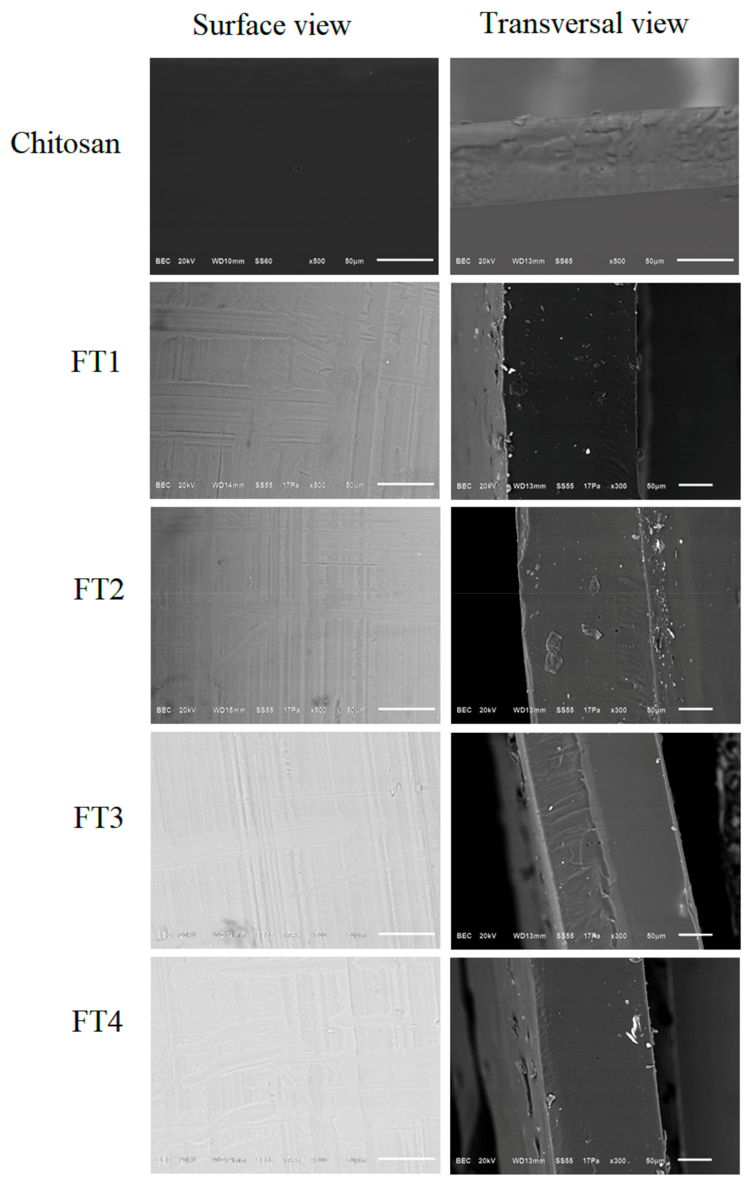 Polymers 14 02050 g007
