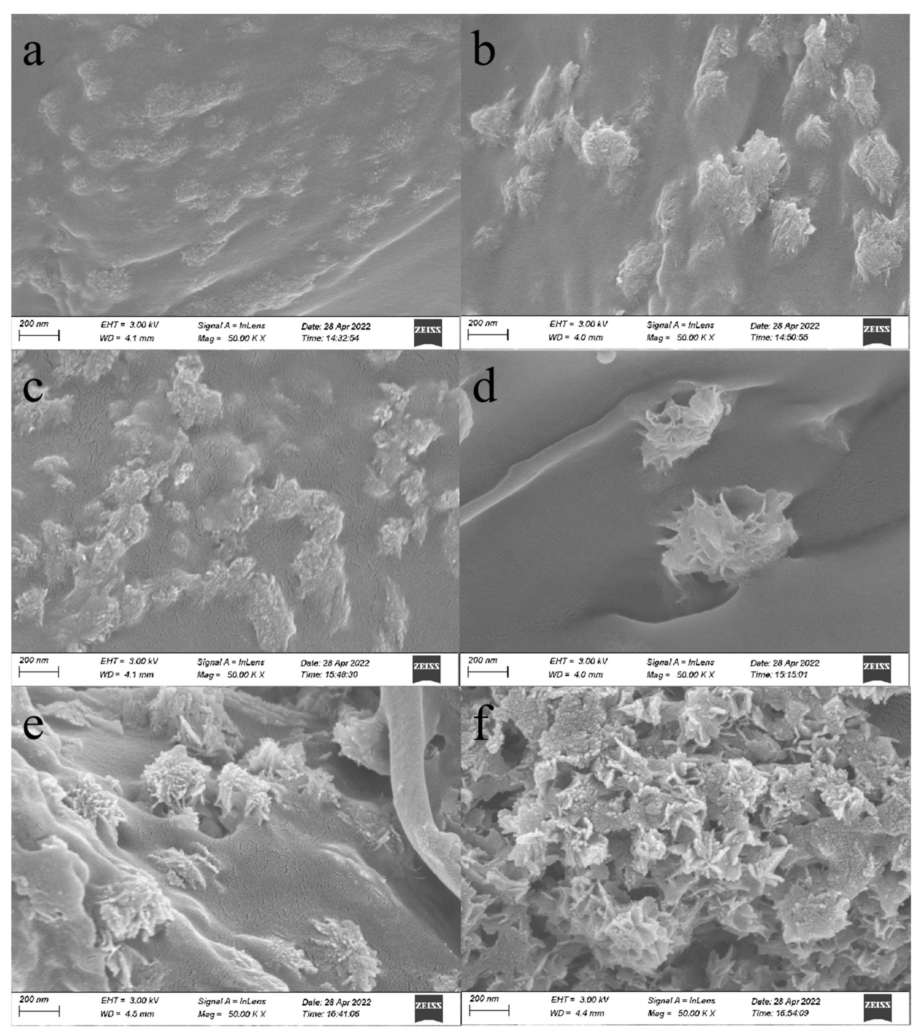 Polymers 14 02053 g004 Polymers 14 02053 g004