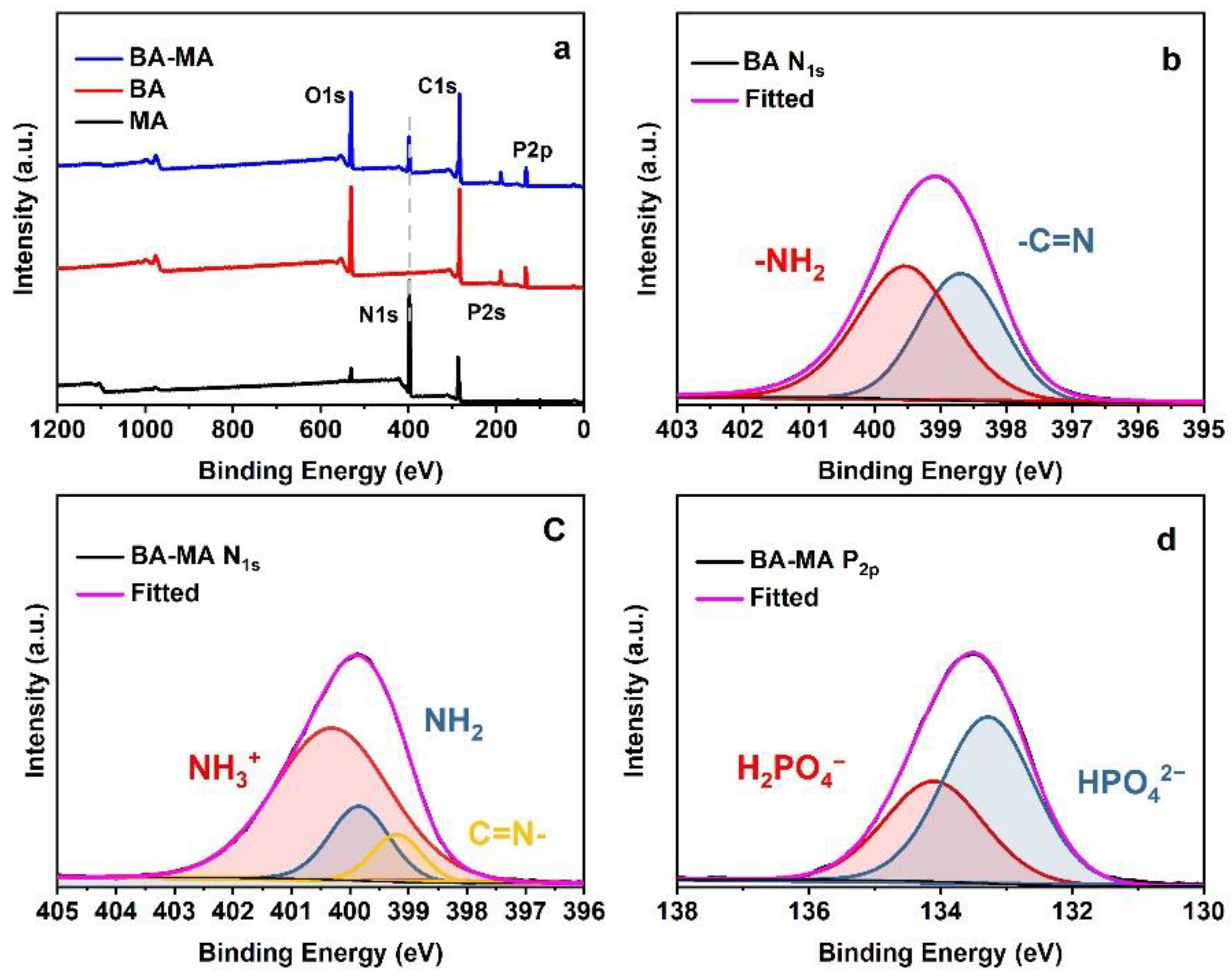 Polymers 14 02055 g002
