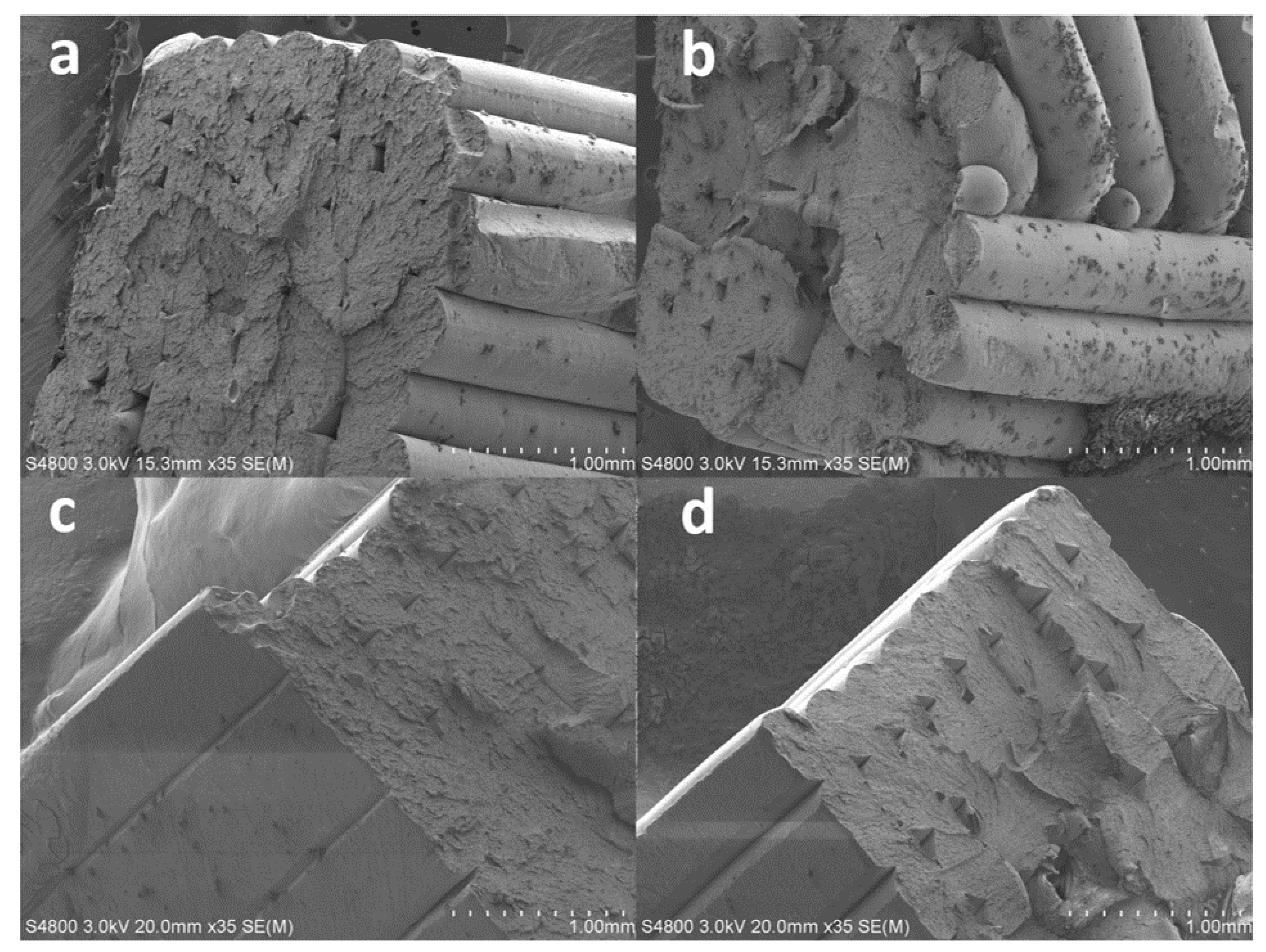 Polymers 14 02071 g012