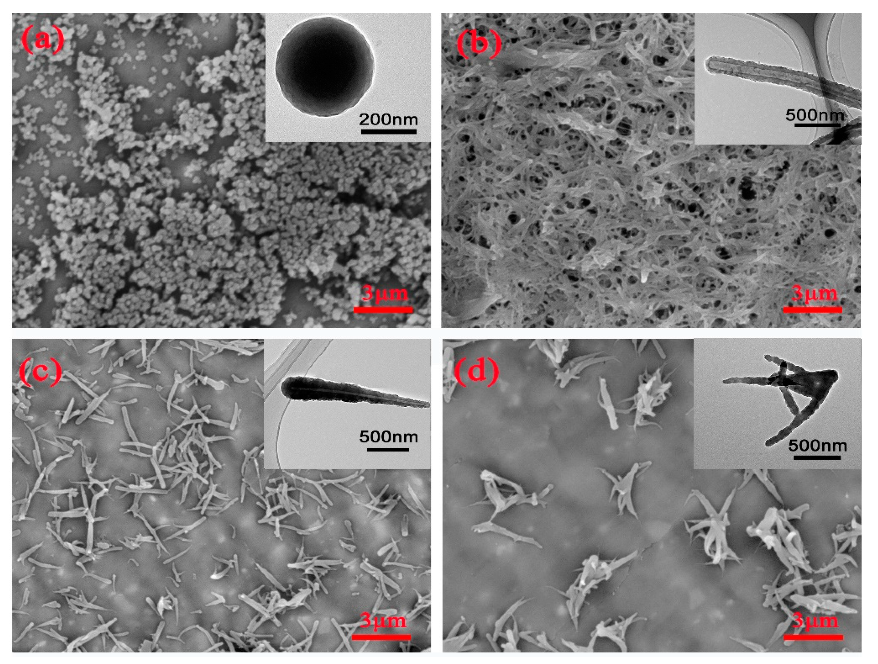 Polymers 14 02072 g002