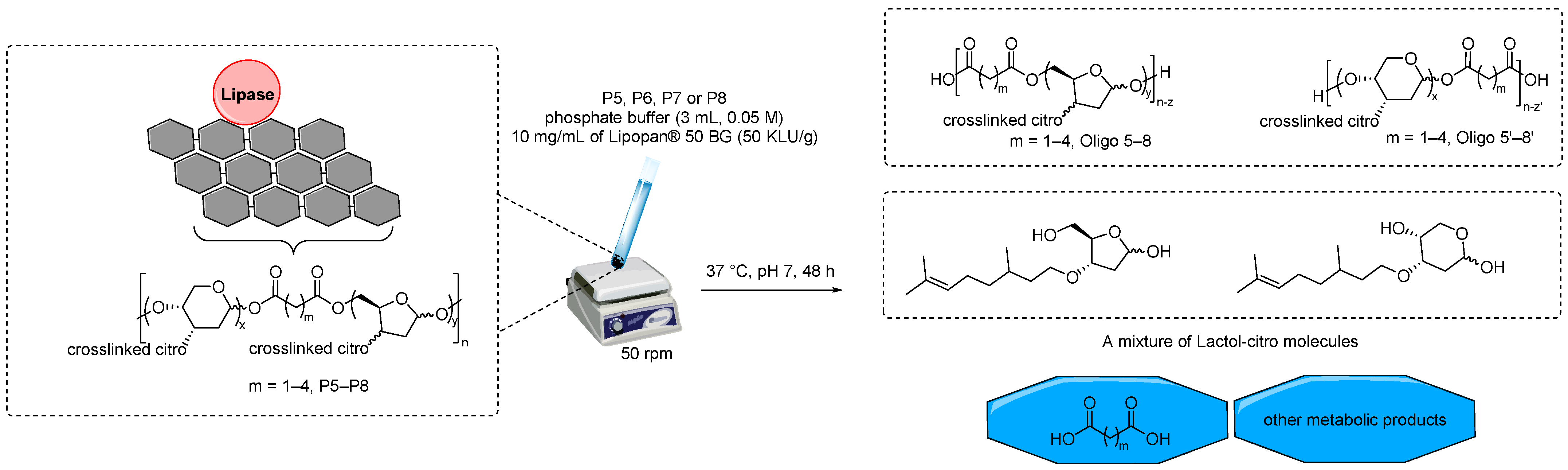Polymers 14 02082 g004