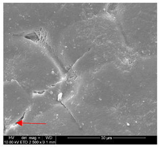 Polymers 14 02086 i007 Polymers 14 02086 i007