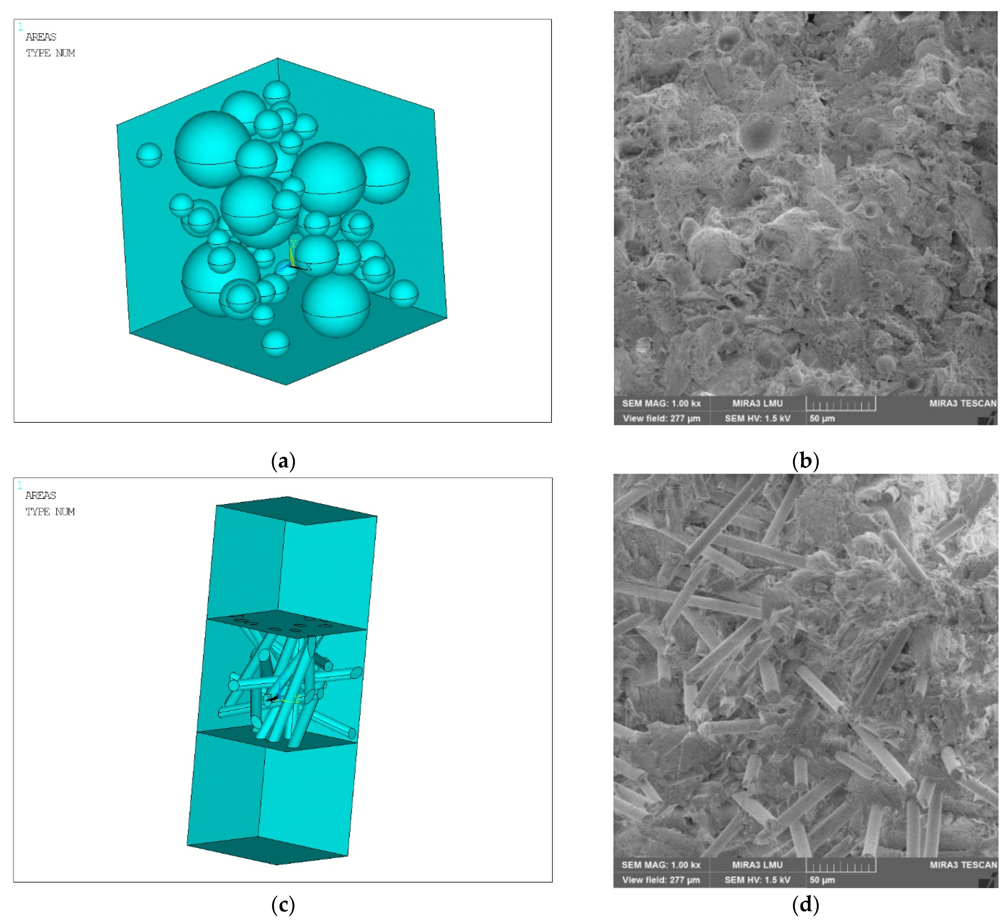 Polymers 14 02087 g002