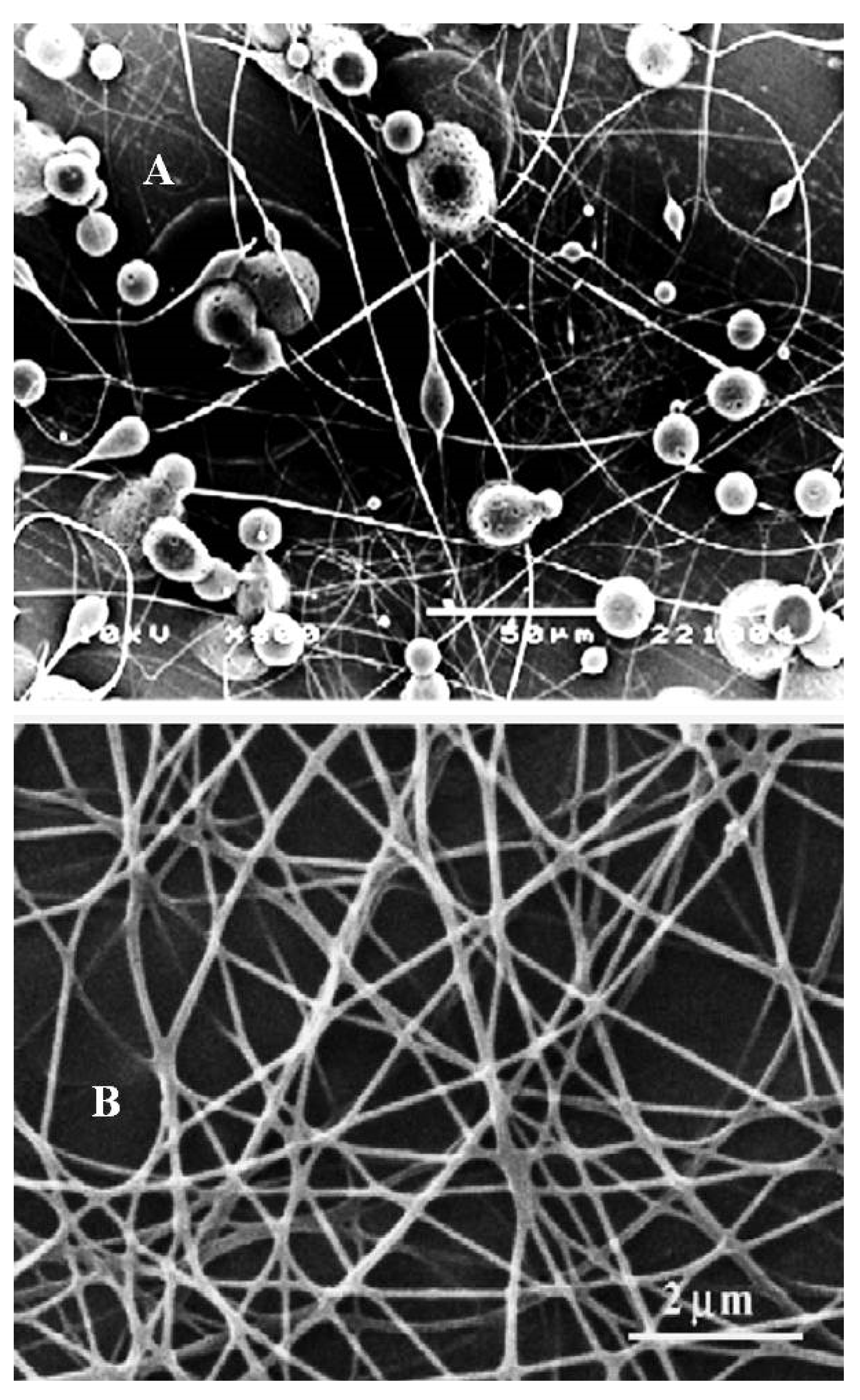 Polymers 14 02094 g001