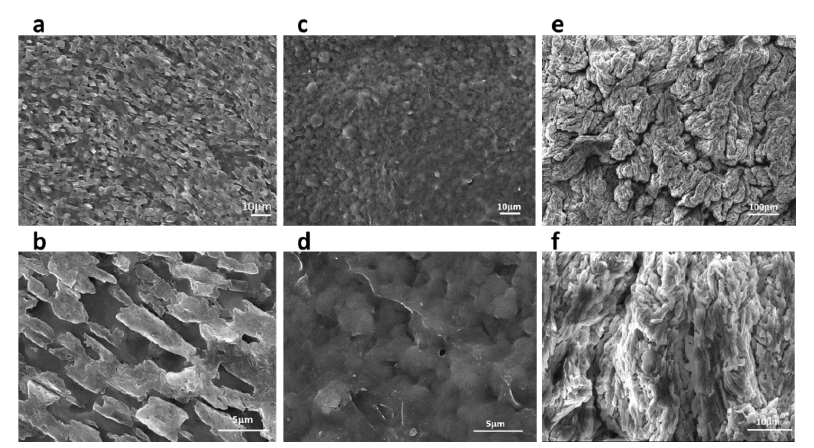 Polymers 14 02122 g003 Polymers 14 02122 g003