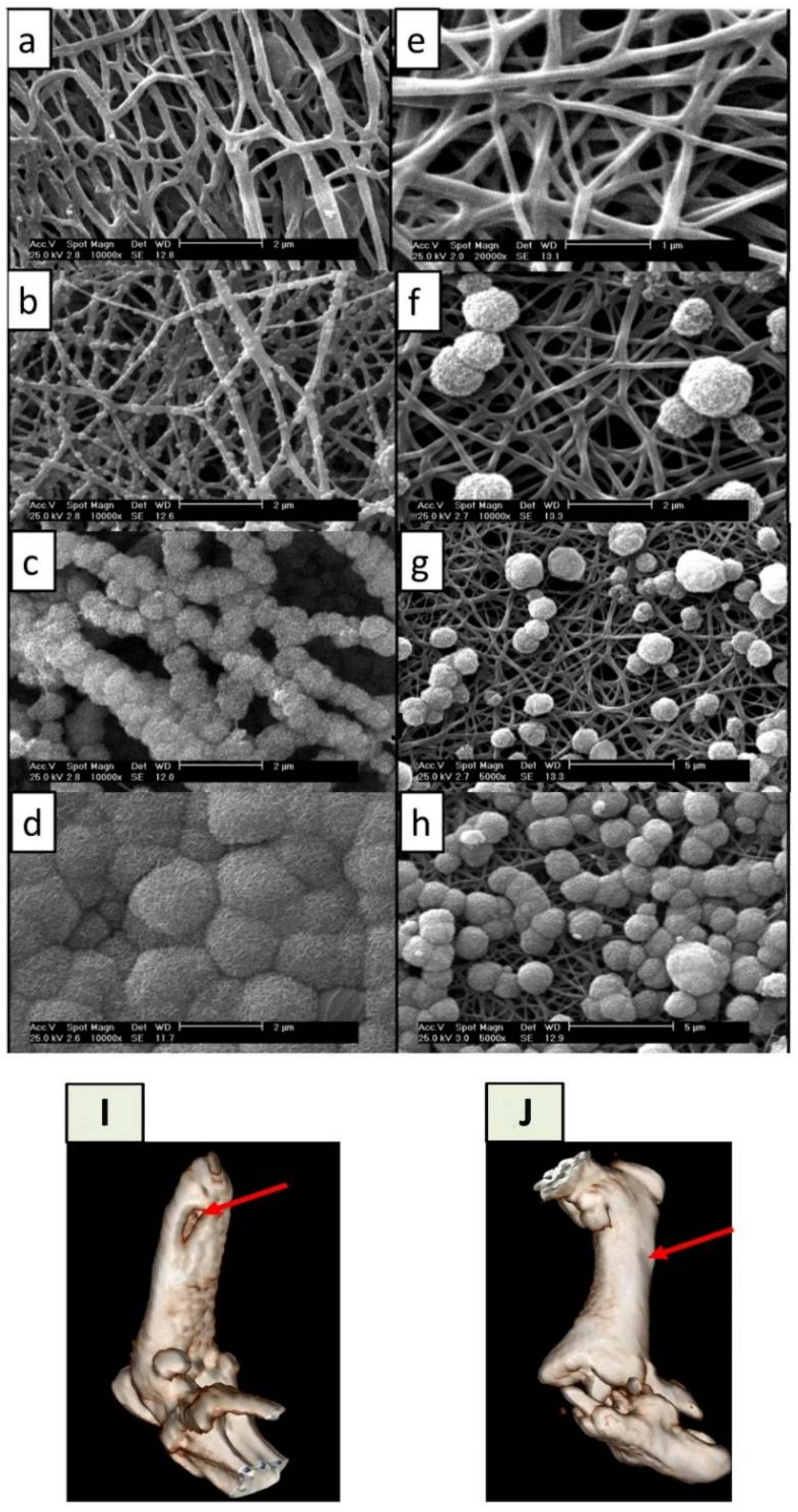 Polymers 14 02123 g005