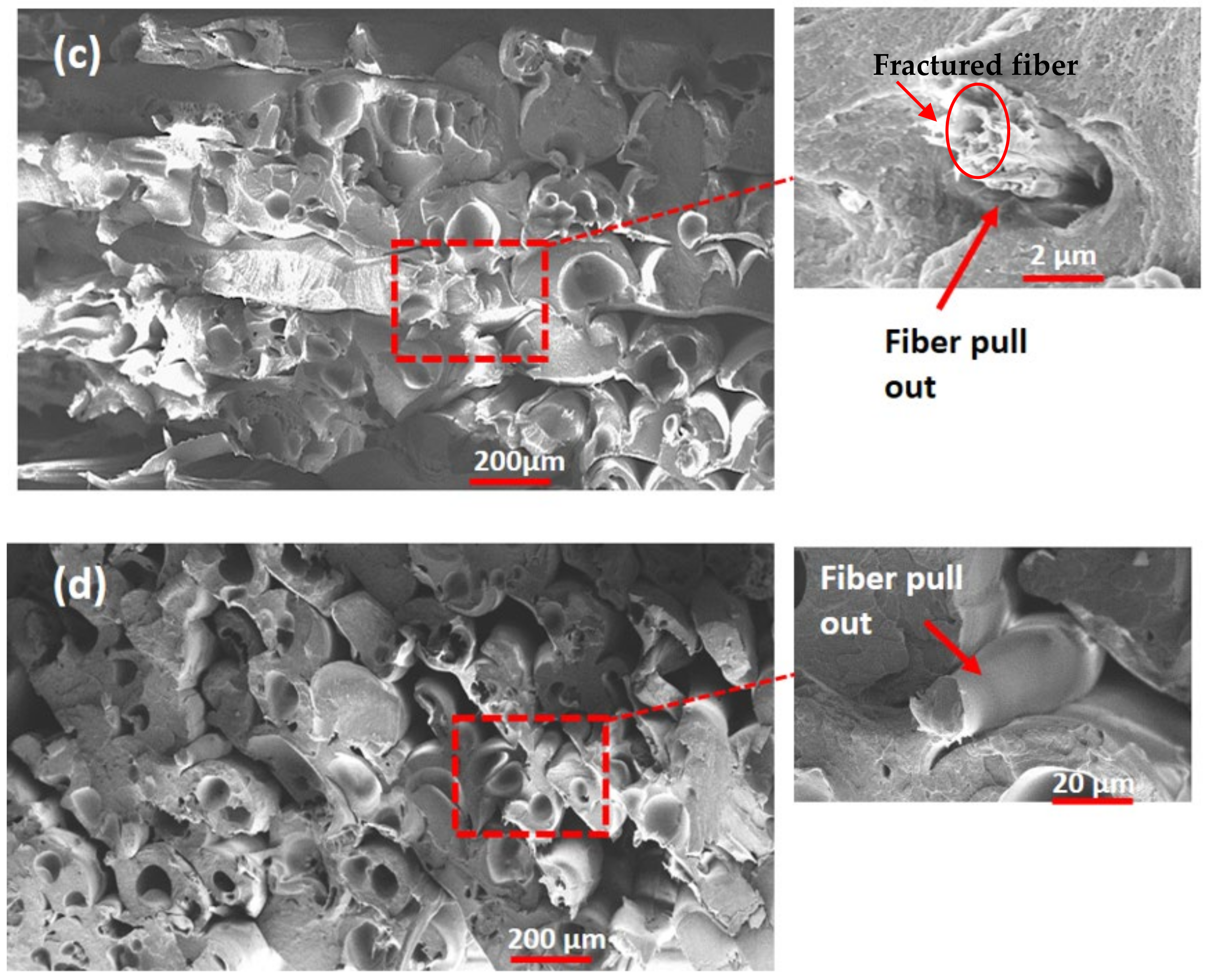 Polymers 14 02140 g009b