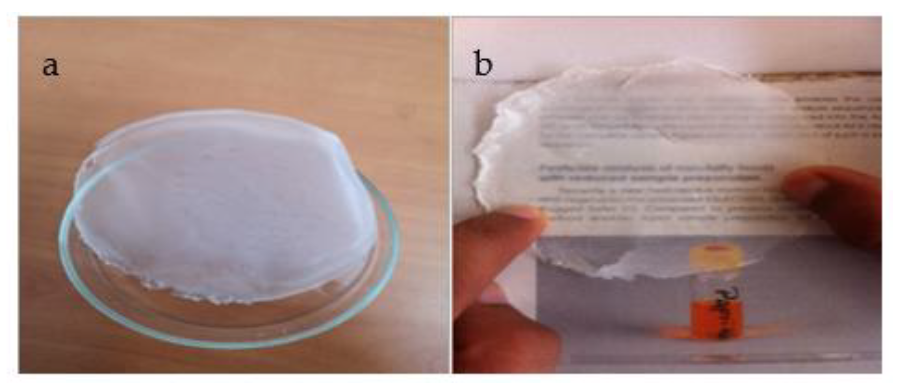 Polymers 14 02147 g003