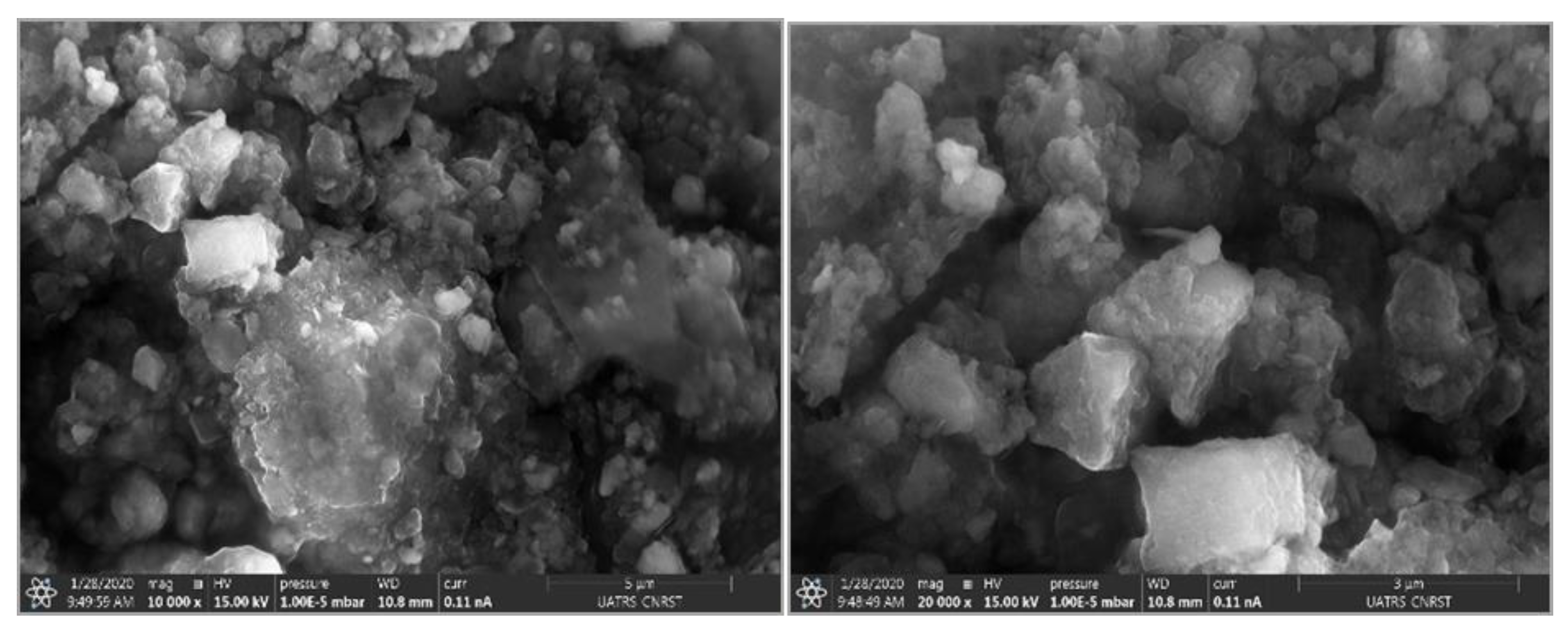 Polymers 14 02147 g008