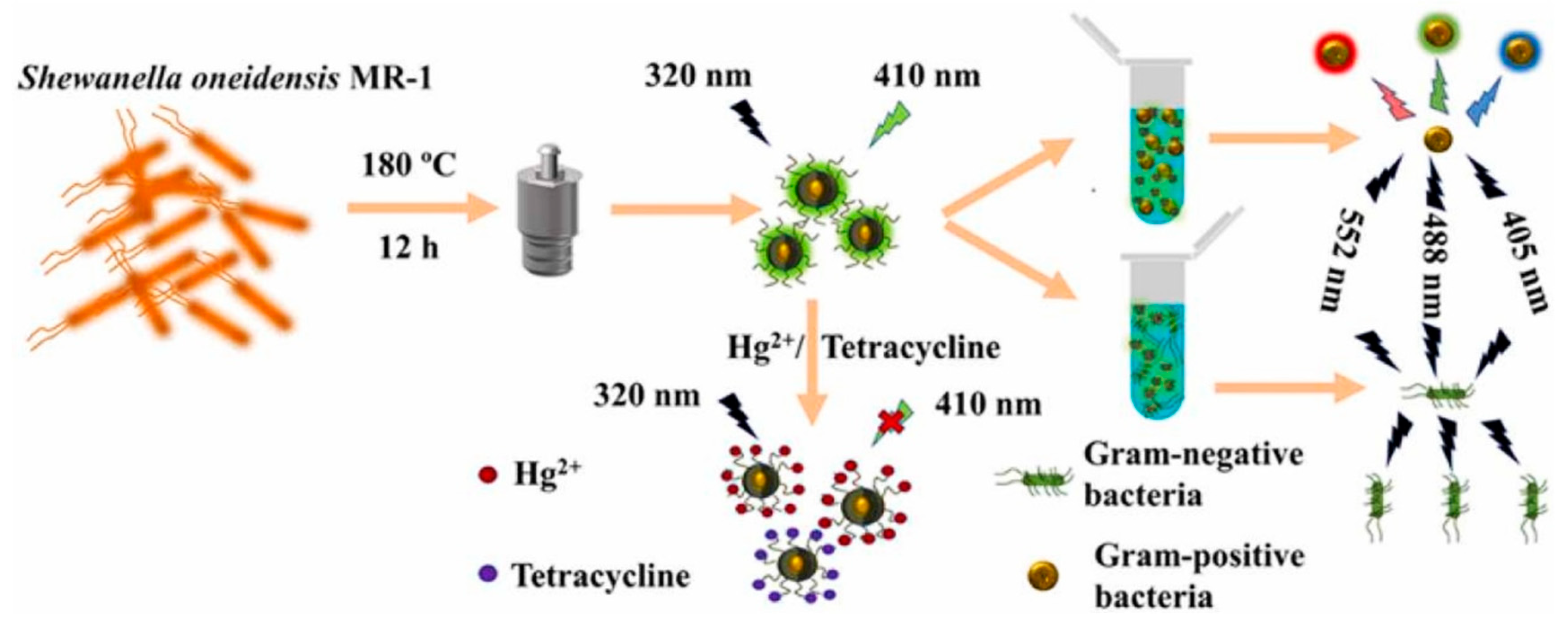Polymers 14 02153 g014