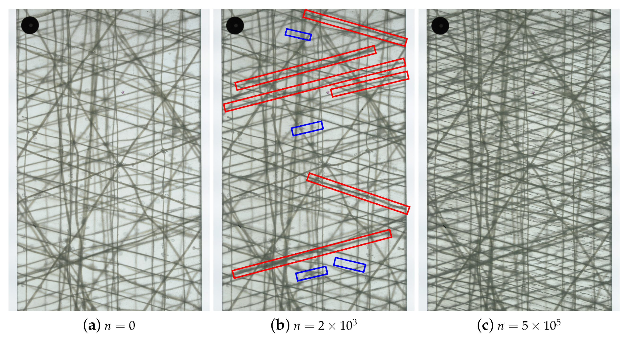 Polymers 14 02160 g004