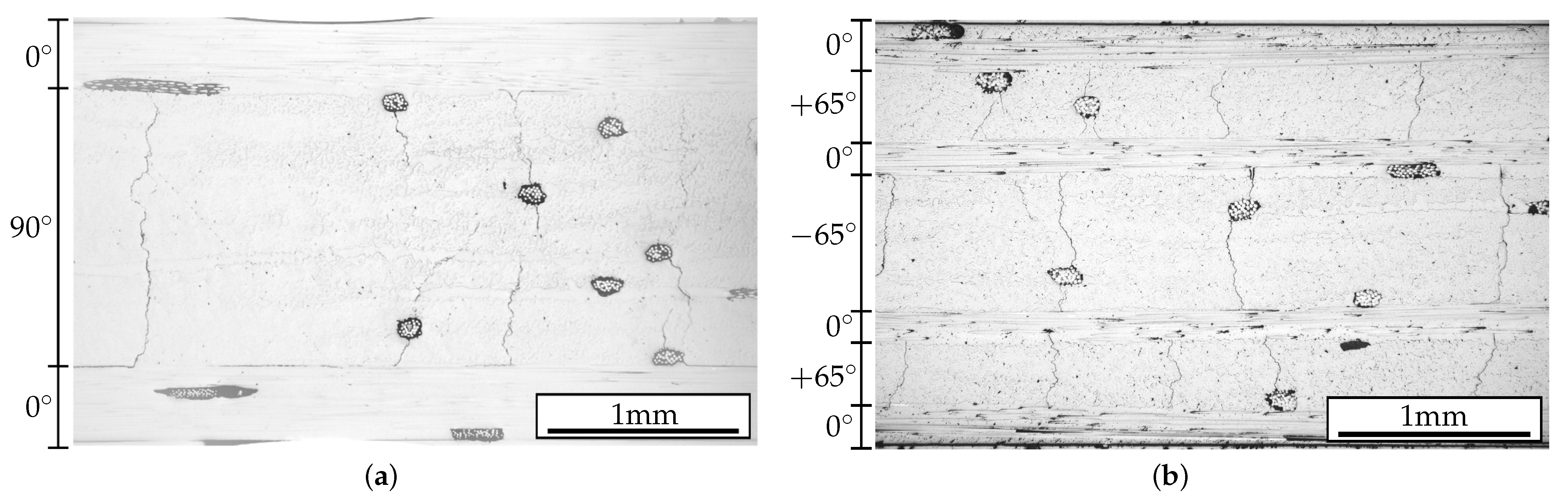 Polymers 14 02160 g006