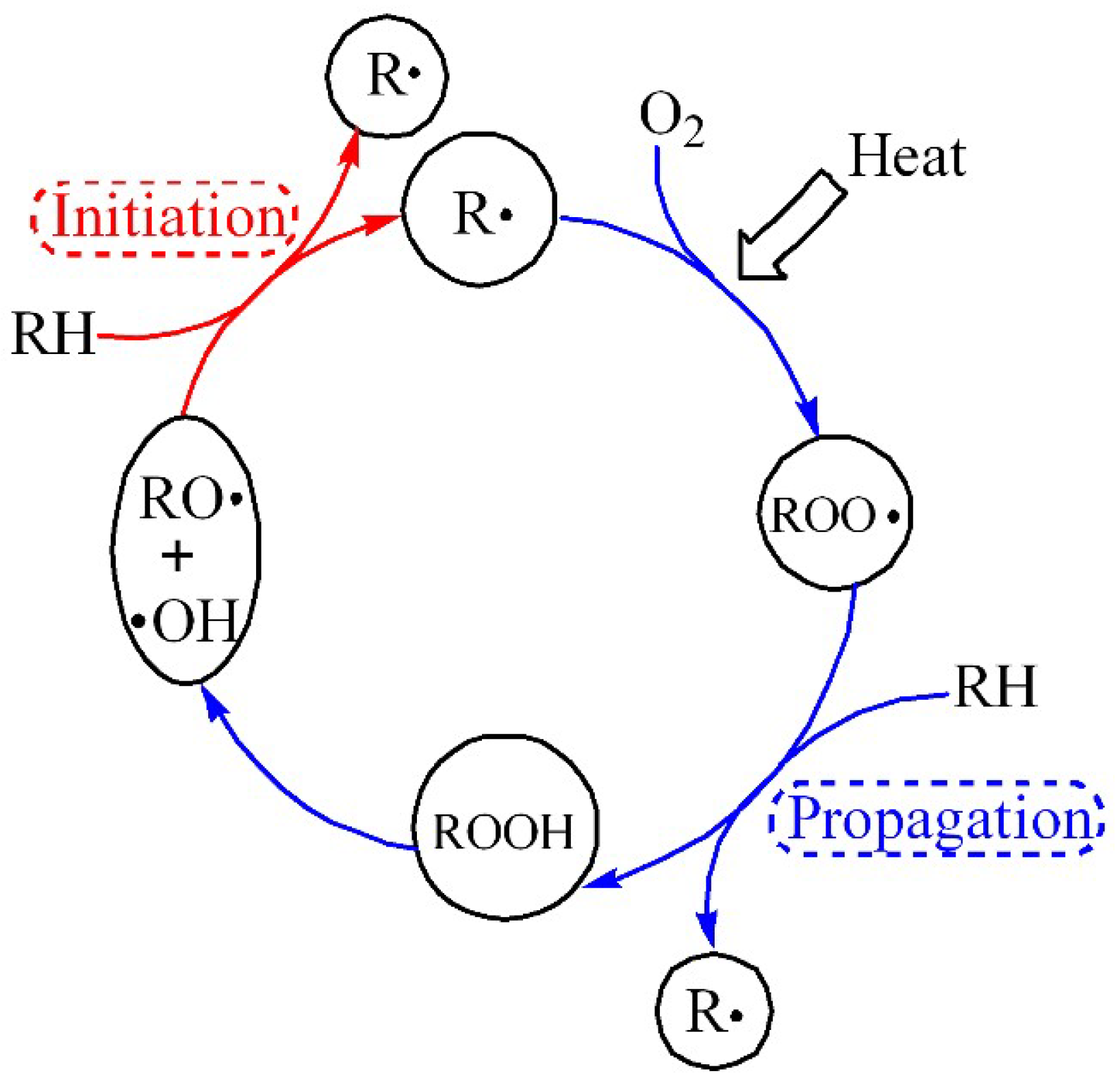 Polymers 14 02162 g004
