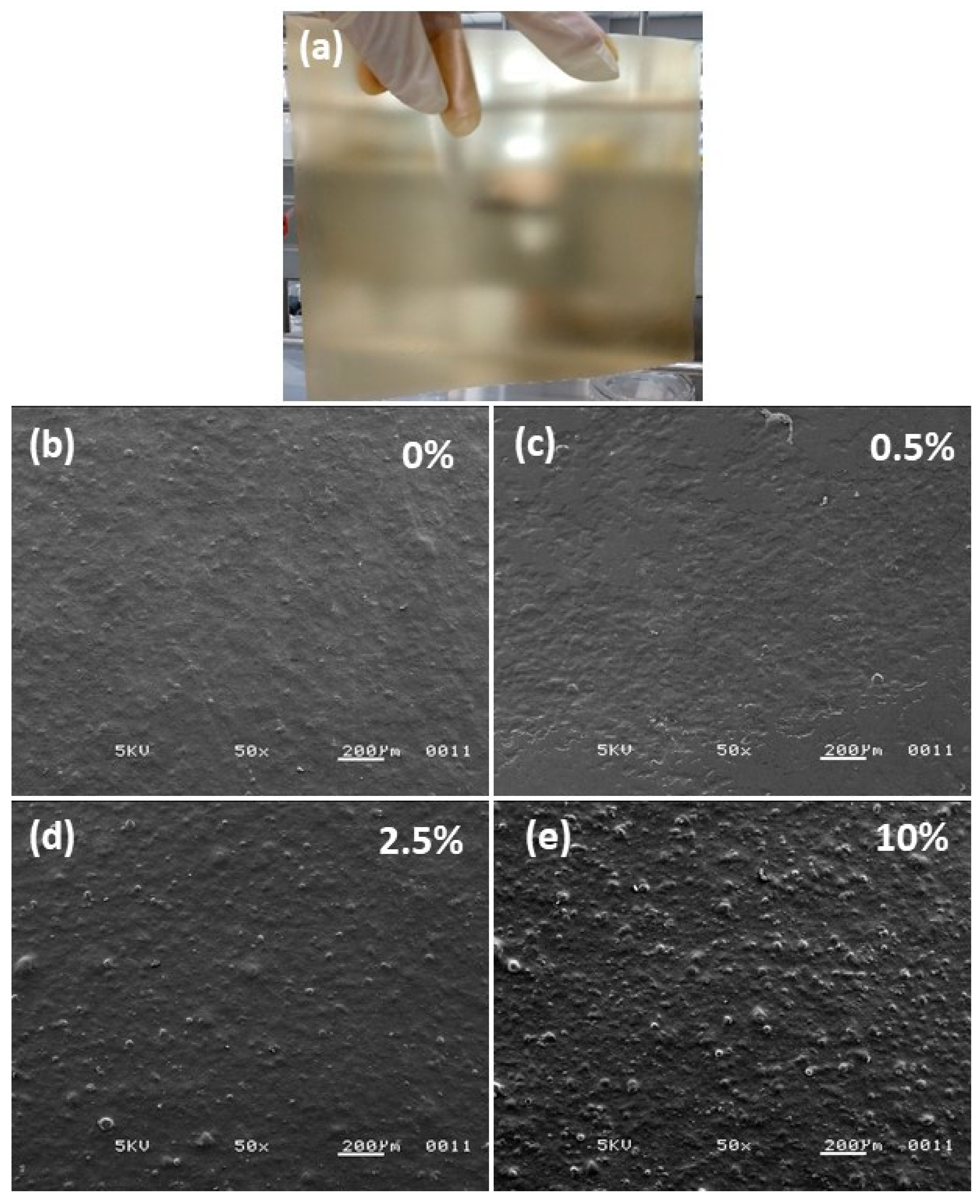 Polymers 14 02166 g002