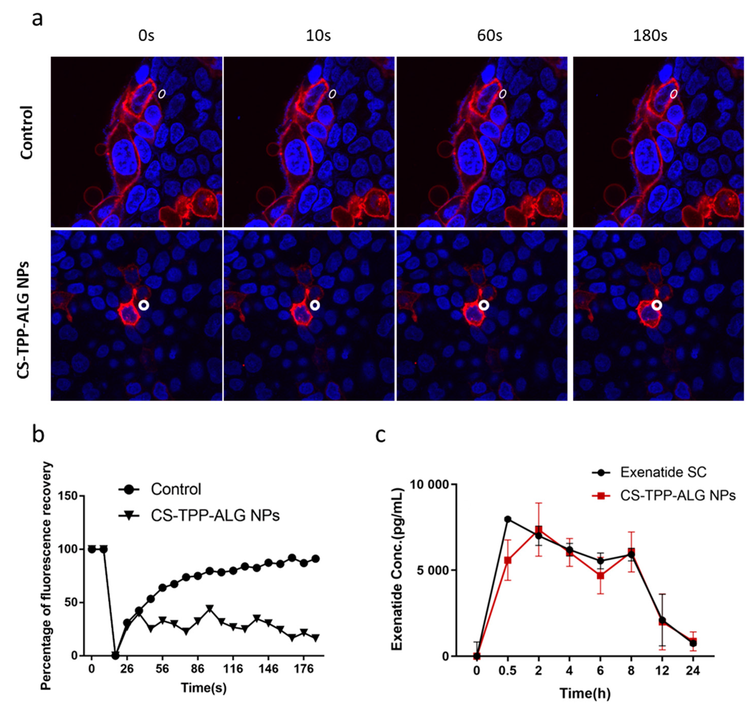 Polymers 14 02181 g005