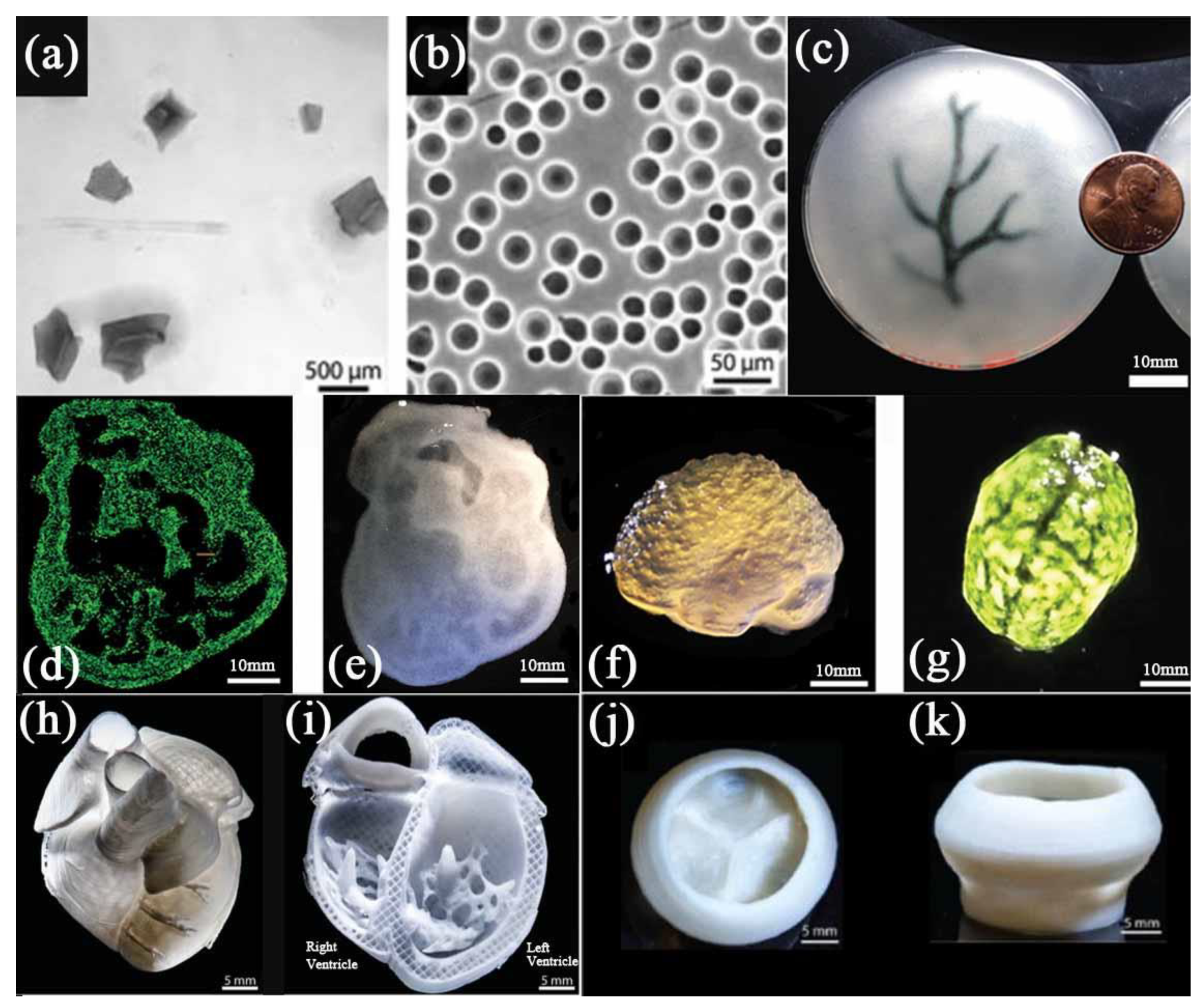 Polymers 14 02182 g005